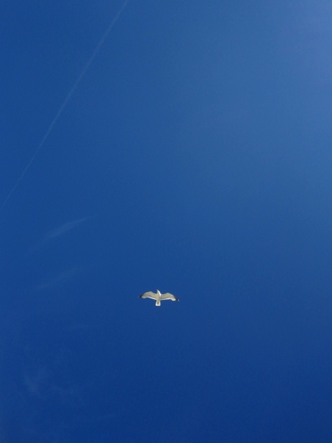IMG_8075.jpg