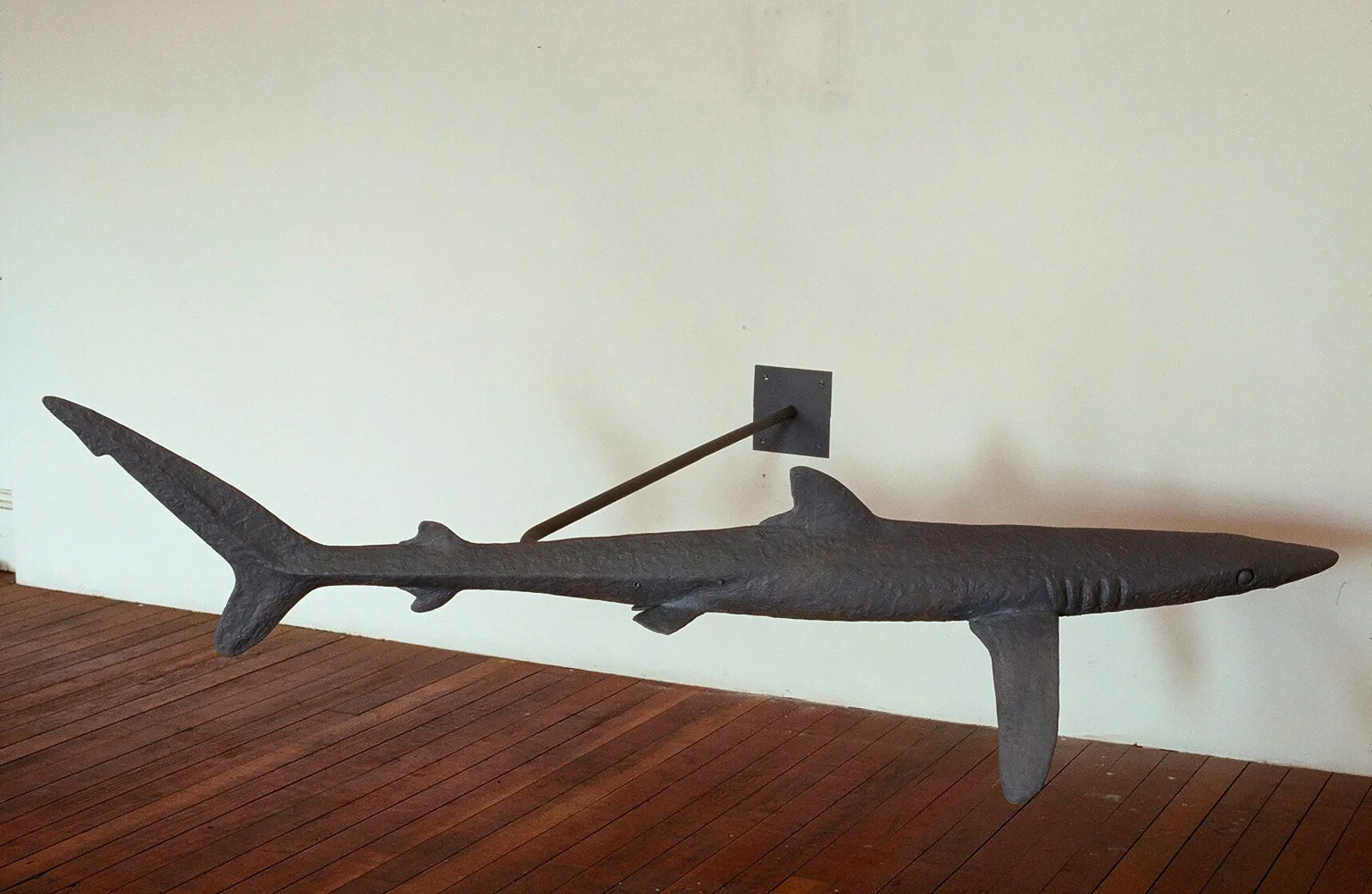 7. Zakianthos.2001. detail.jpg