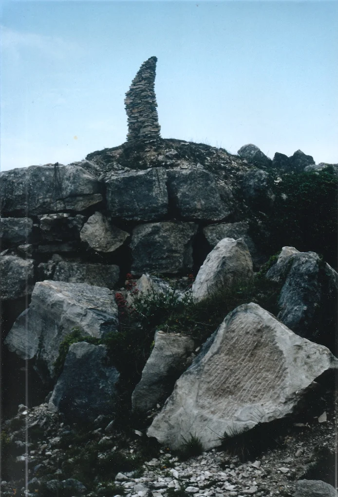 bird stone.jpg