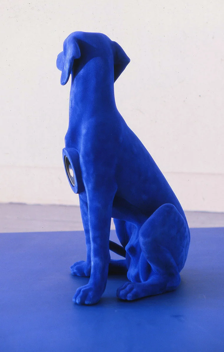 IMG copy.jpg