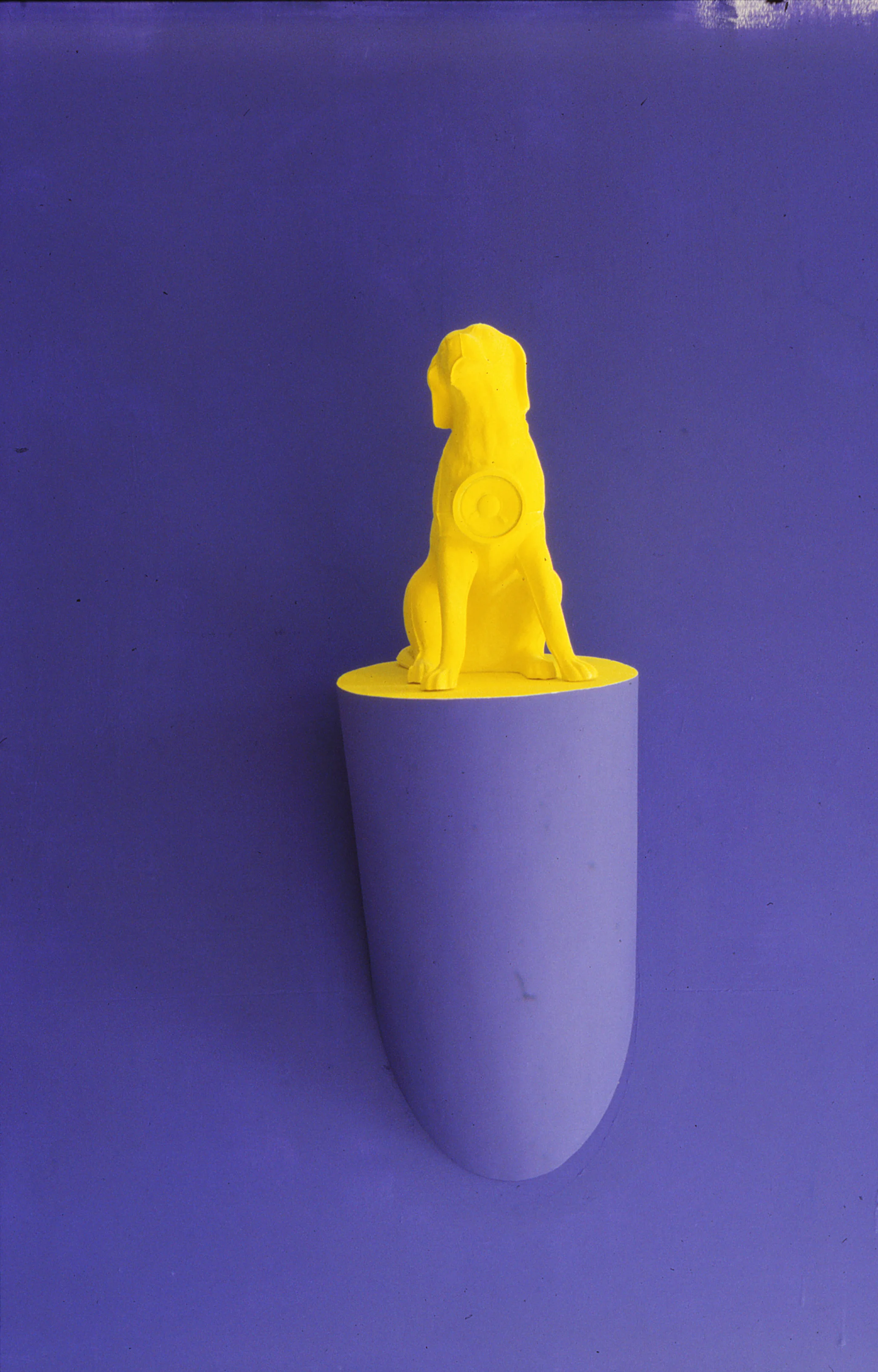 IMG.jpg