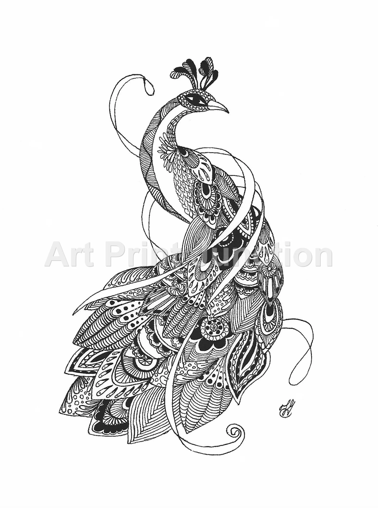 Peacock jpeg.jpg