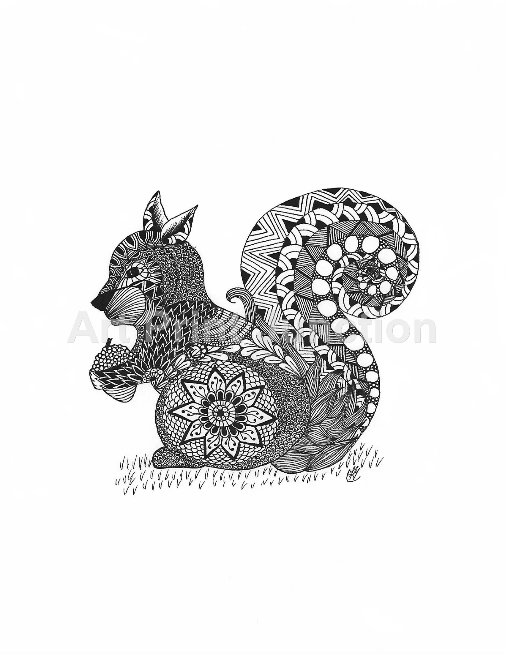 Squirrel jpeg.jpg