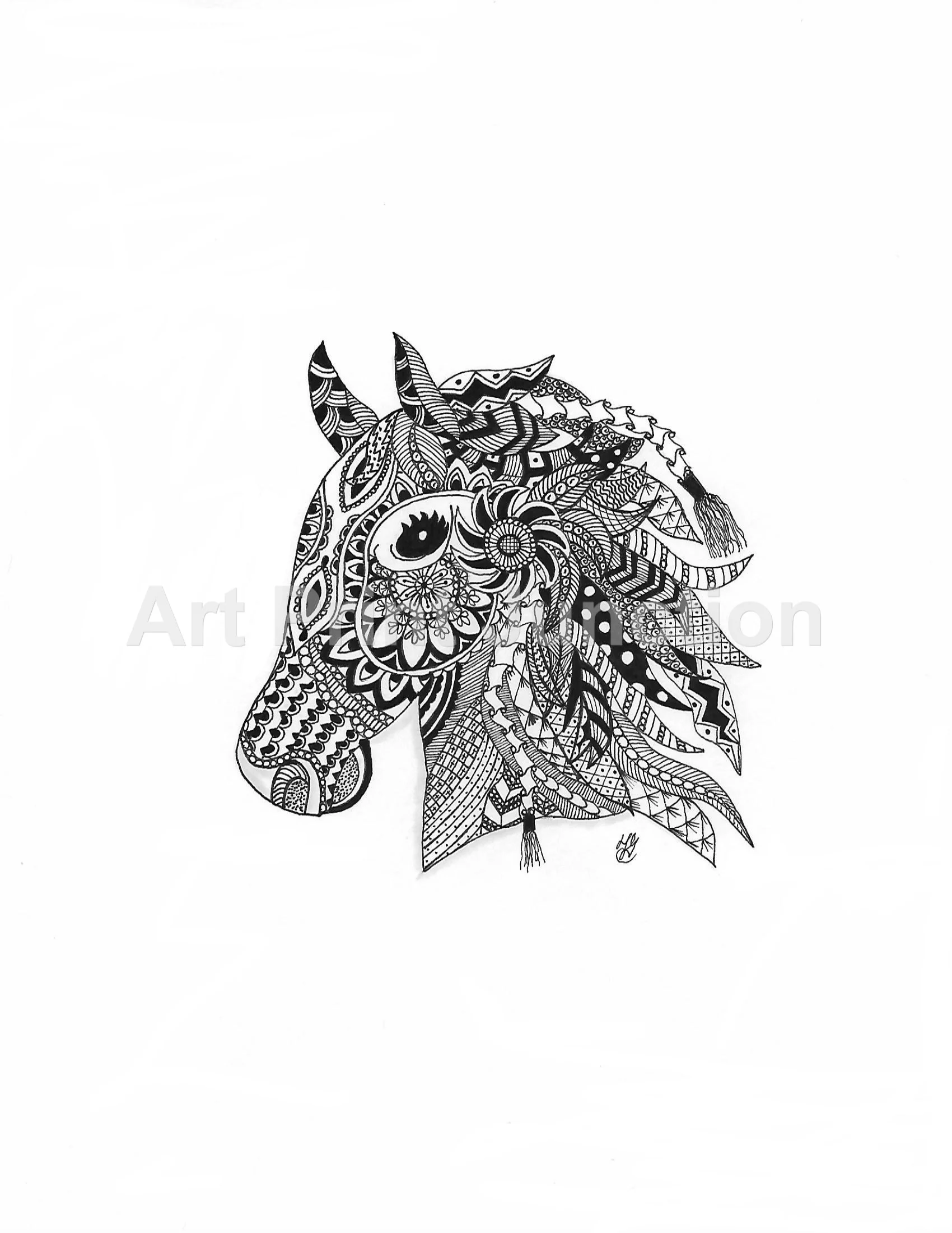 horse 1 jpeg.jpg