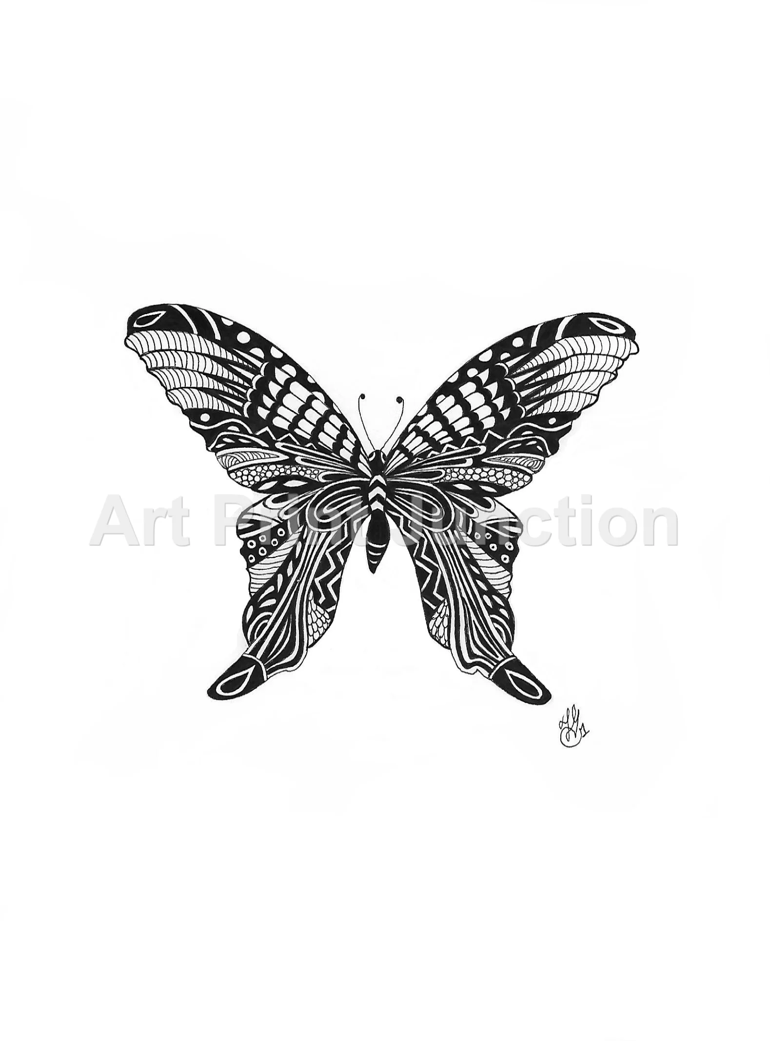 Butterfly 2 jpeg.jpg