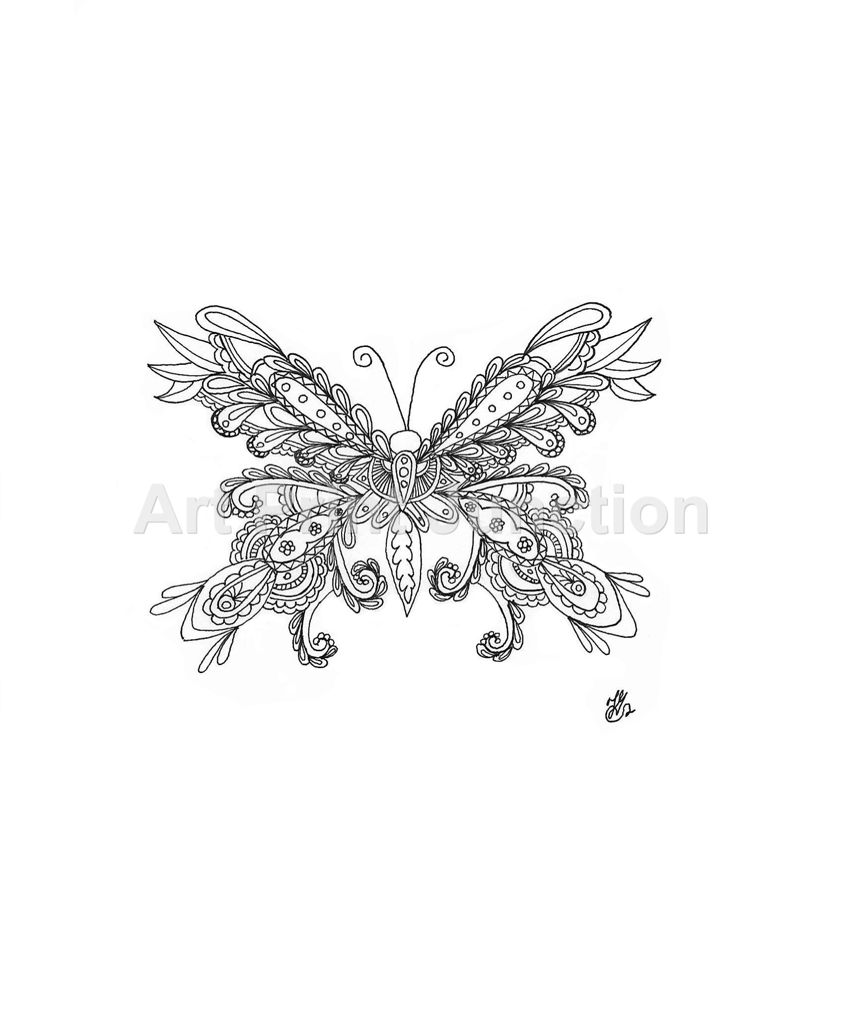 Butterfly 3 jpeg.jpg