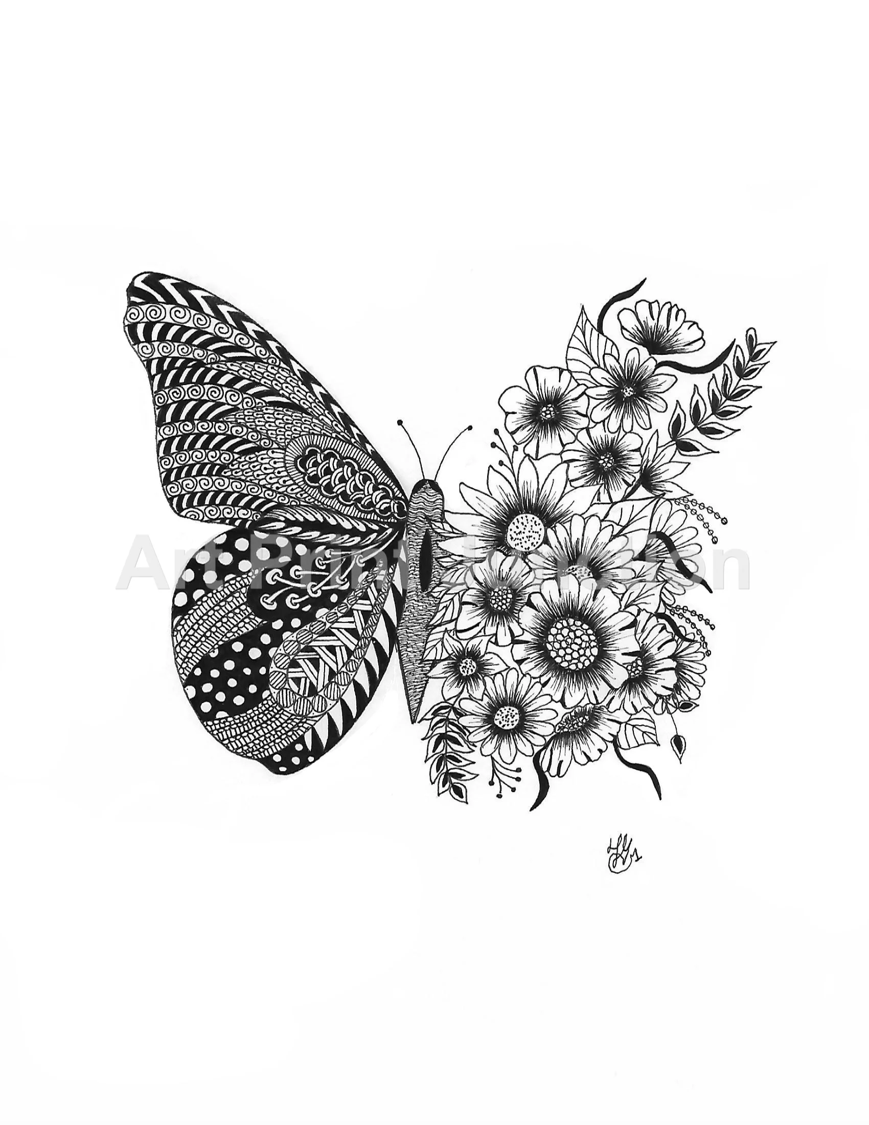 Butterfly 4 jpeg.jpg