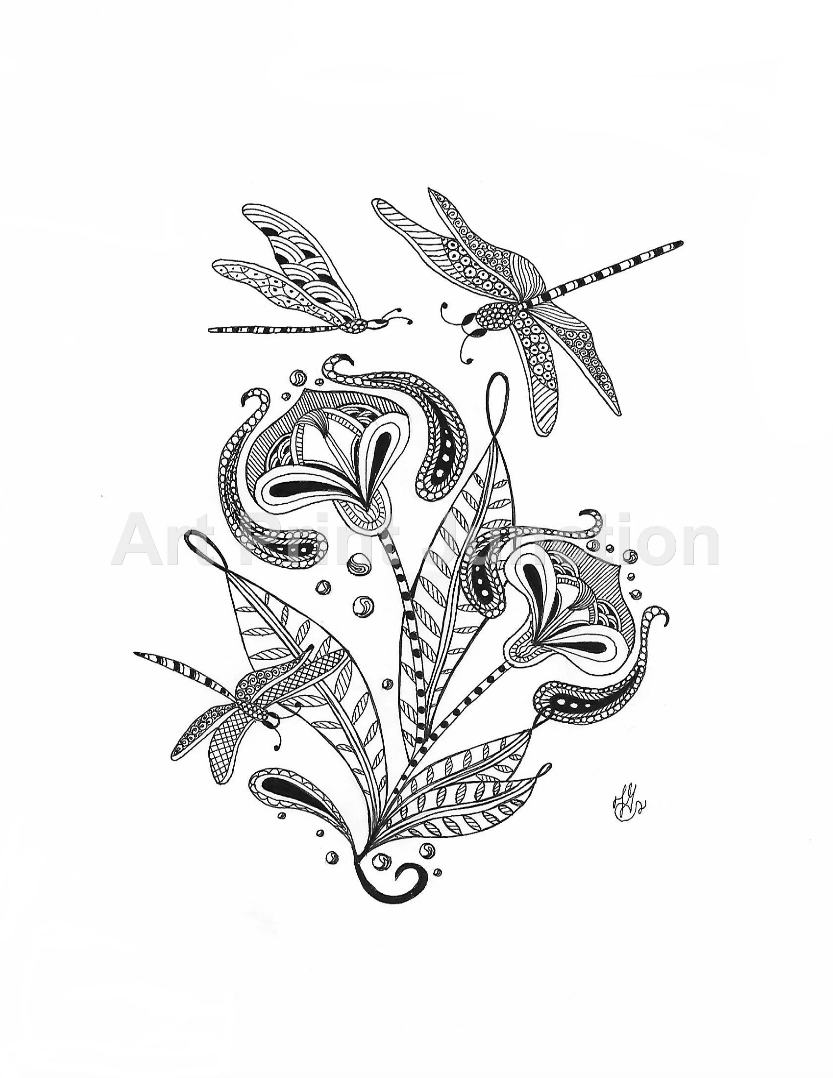 Dragonfly 1 jpeg.jpg