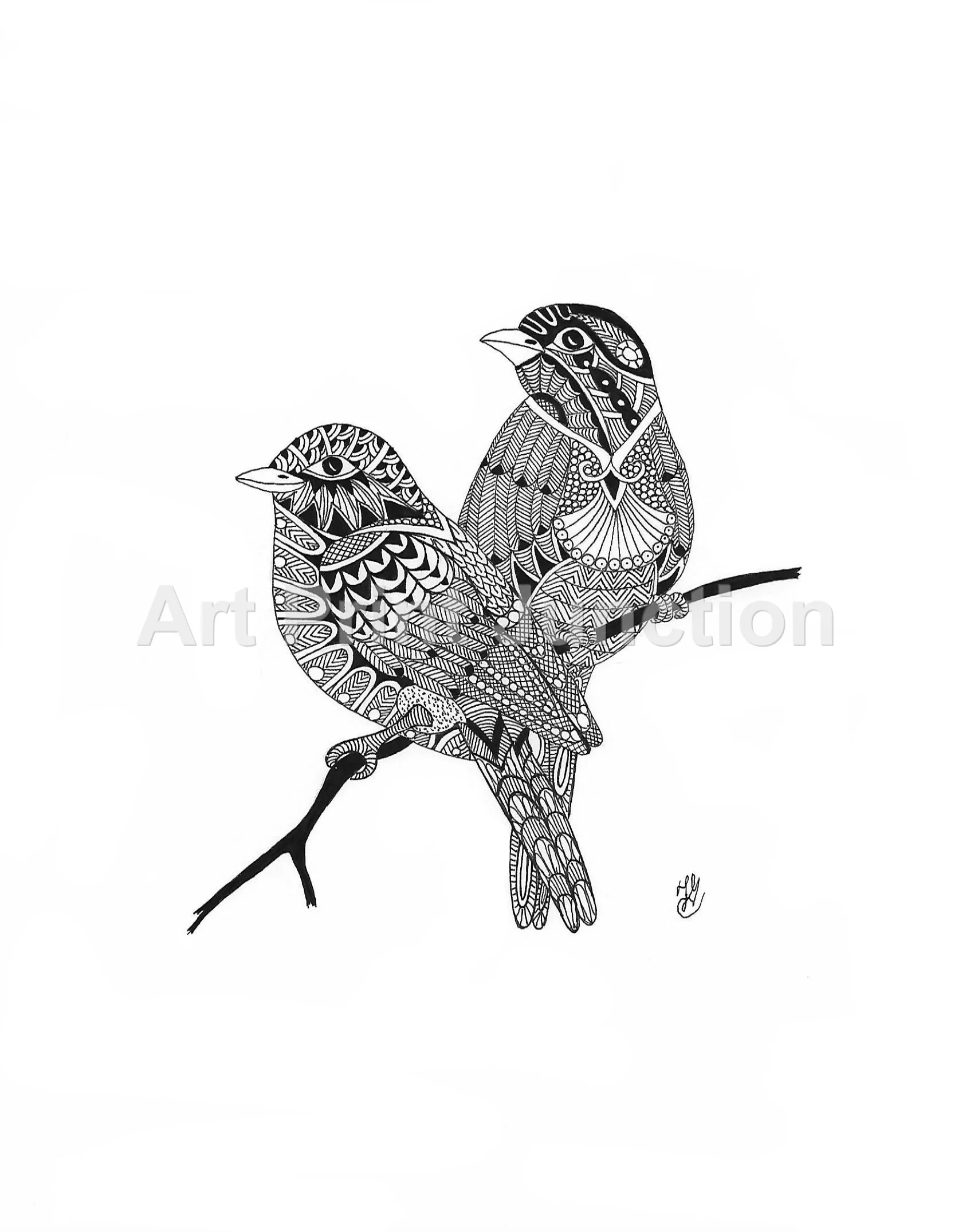 birds jpeg.jpg