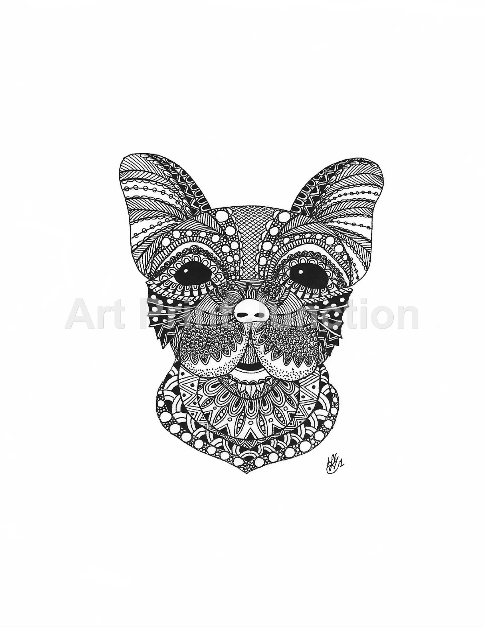 Dog 3