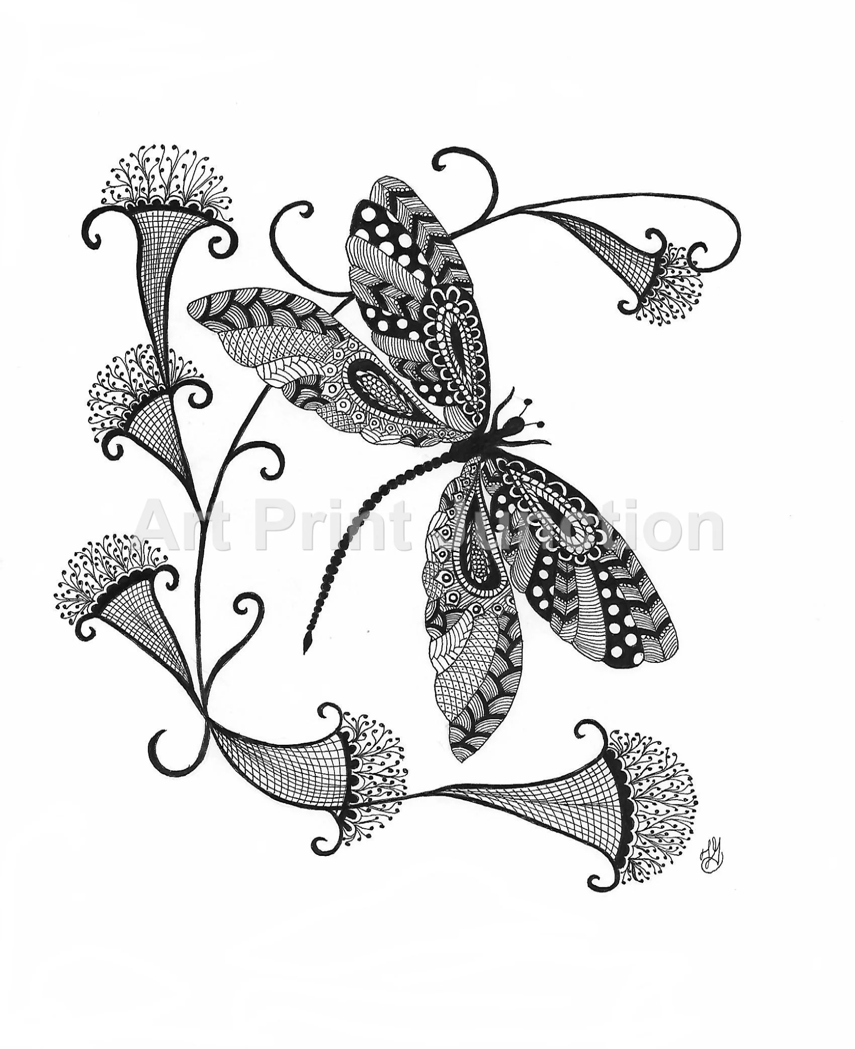 Dragonfly 2