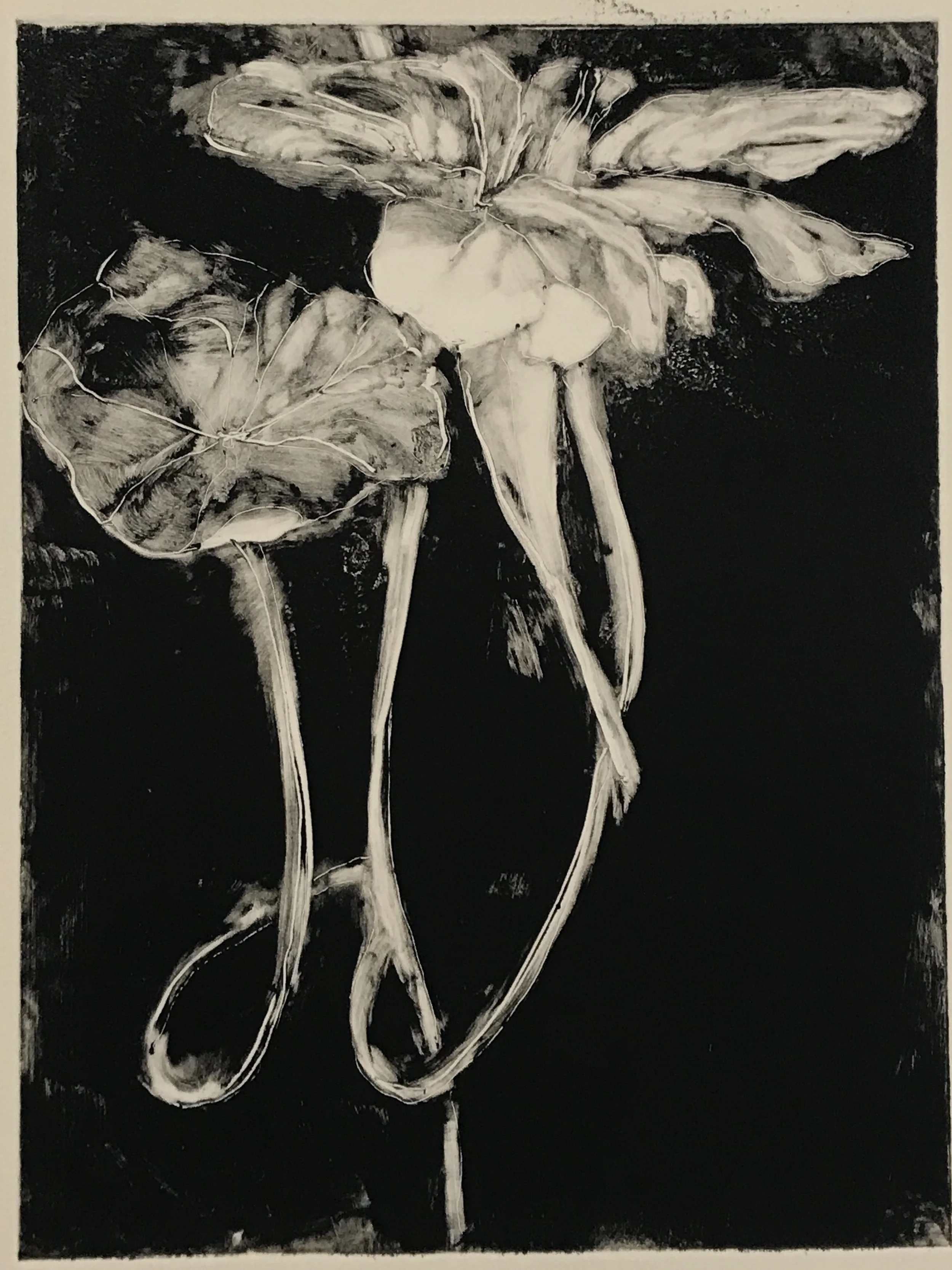  &nbsp;Nasturtium  Monotype 23”x30” 2017 