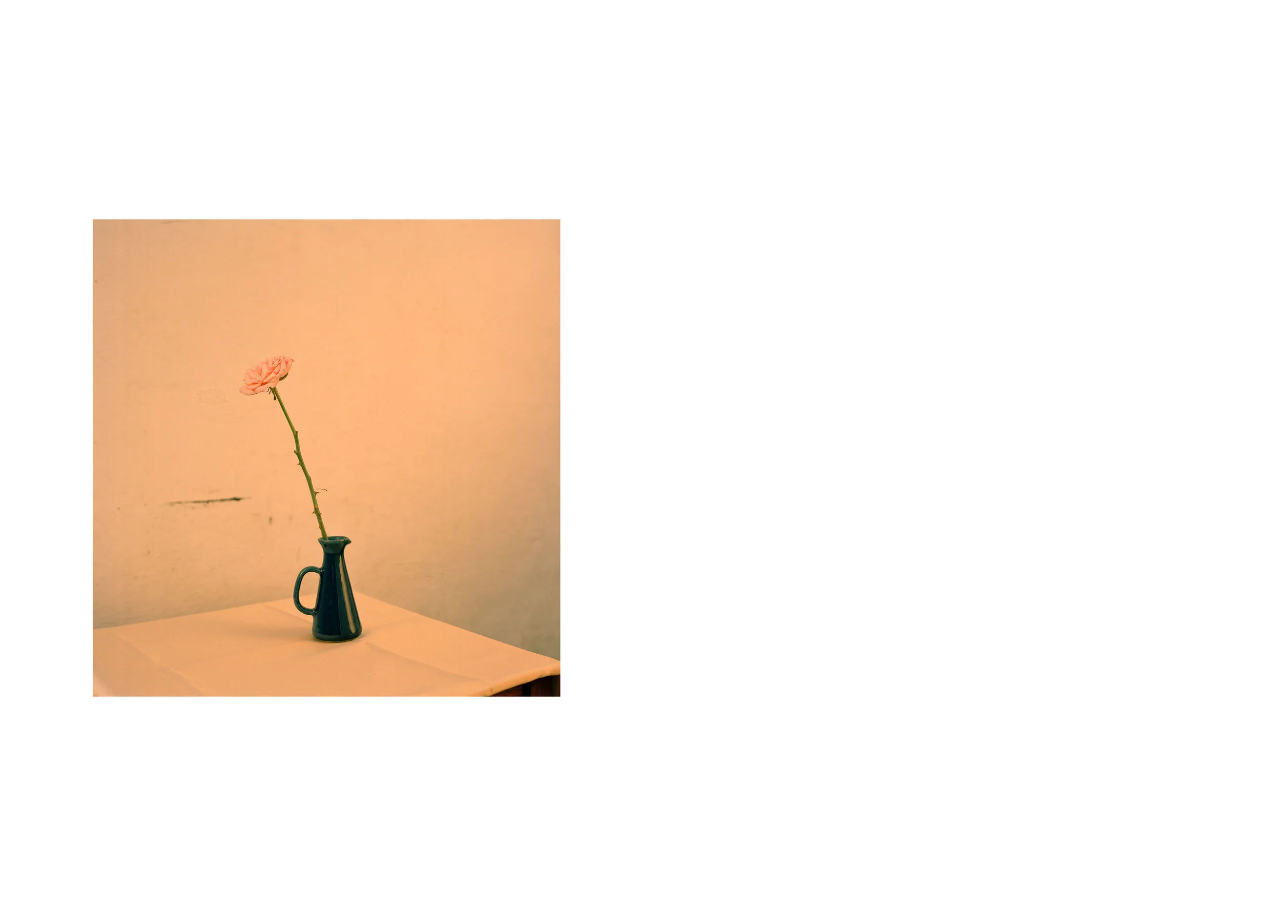 FMP_DI_V1.0_Layout_v22 web4.jpg