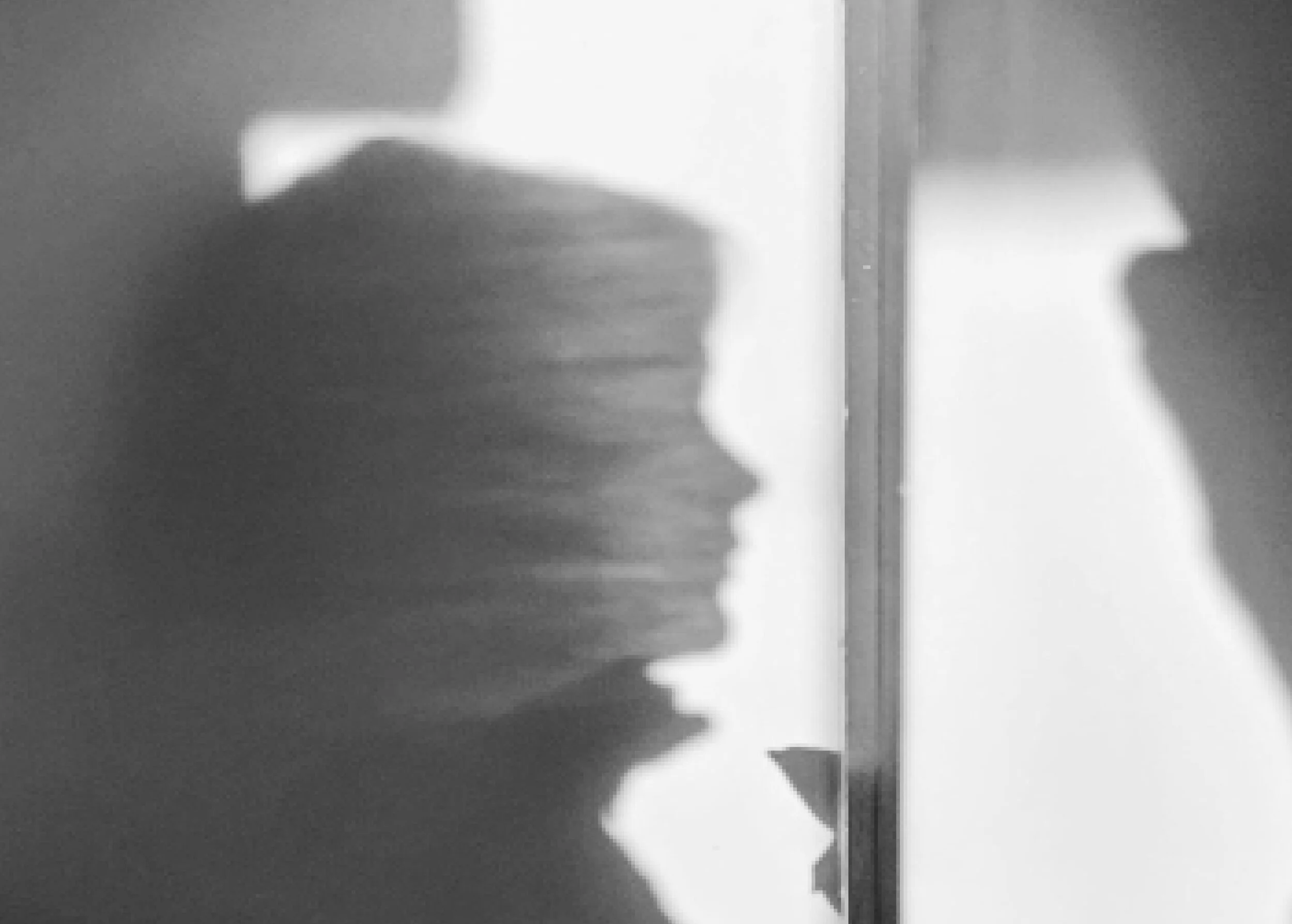 FMP_DI_V1.0_Layout_v22 web5.jpg