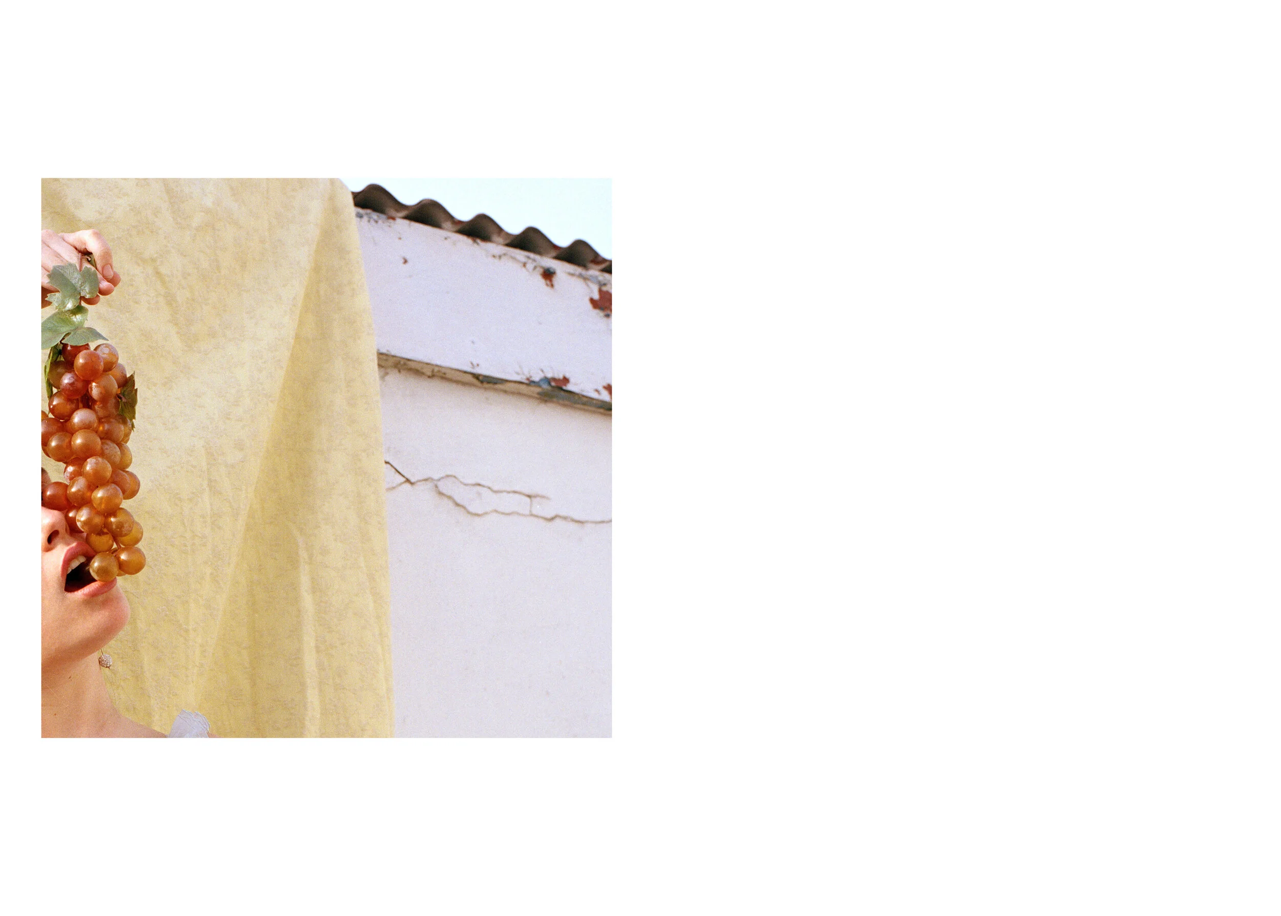 FMP_DI_V1.0_Layout_v22 web9.jpg