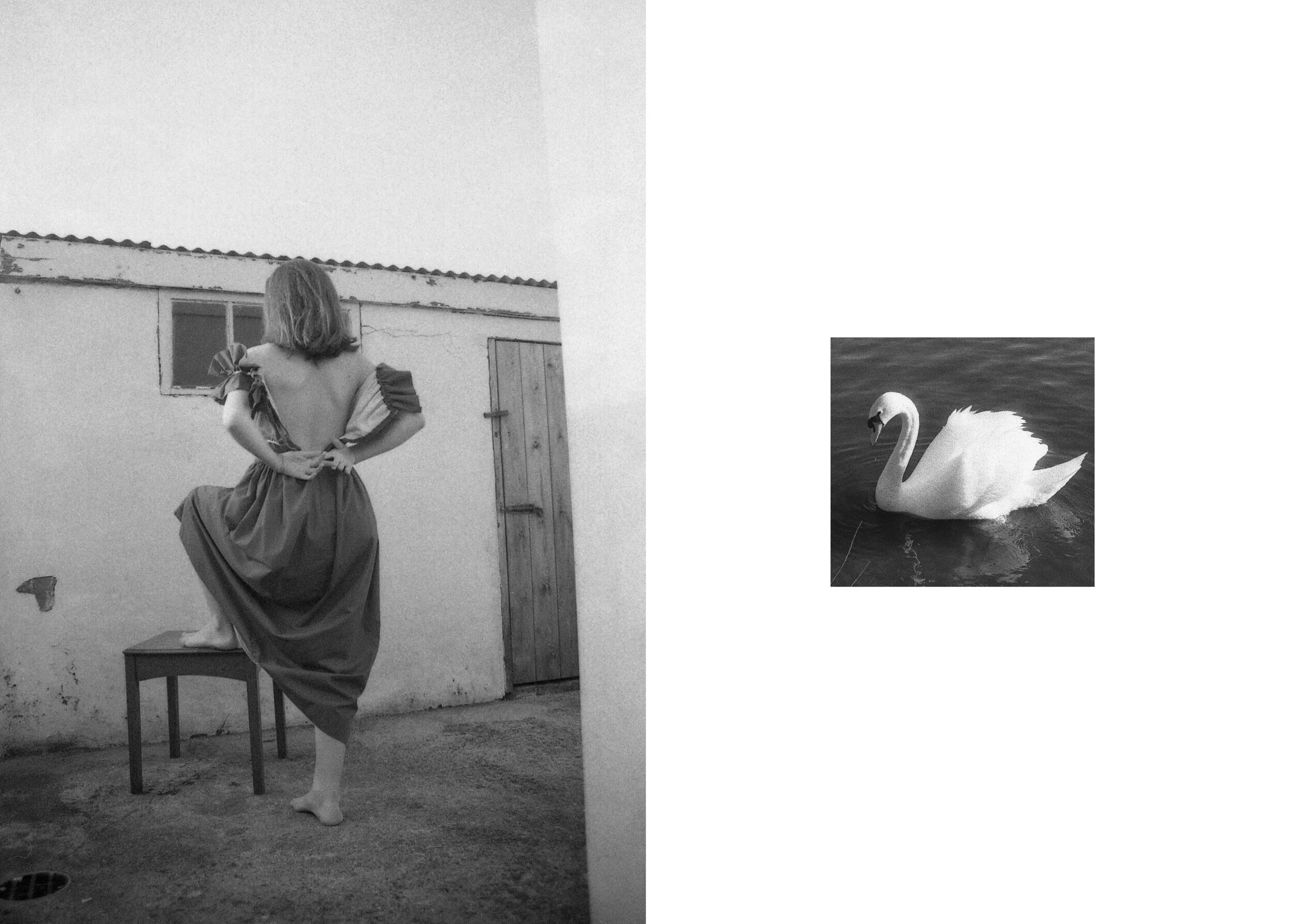 FMP_DI_V1.0_Layout_v22 web10.jpg