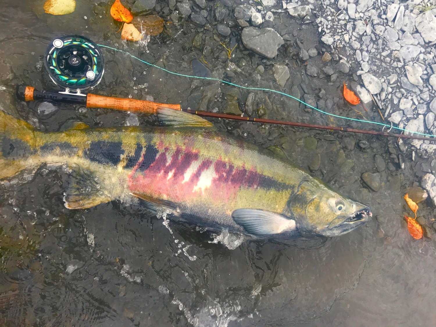 dead stick fishing top topwater lures Dead Eye Walleye Crankbait  Precision Trolling Crank for Big Water Walleye   Fishermans Central
