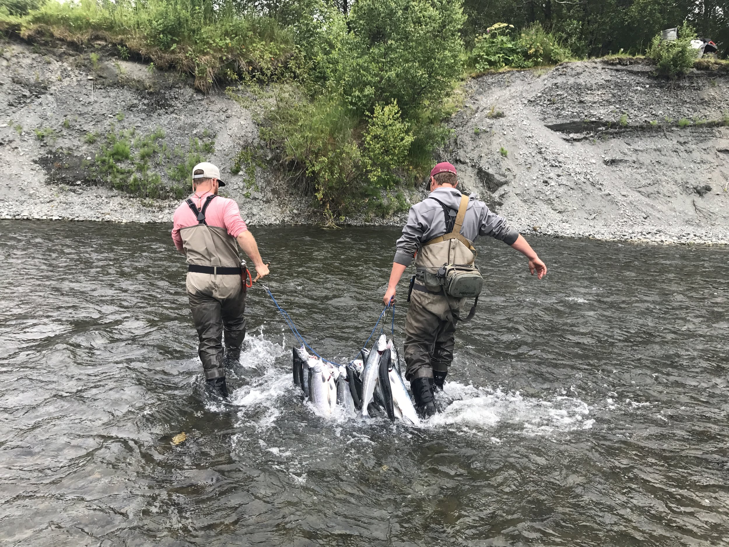 Freshwater Sockeye Fishing 101 – Sea-Run Fly & Tackle