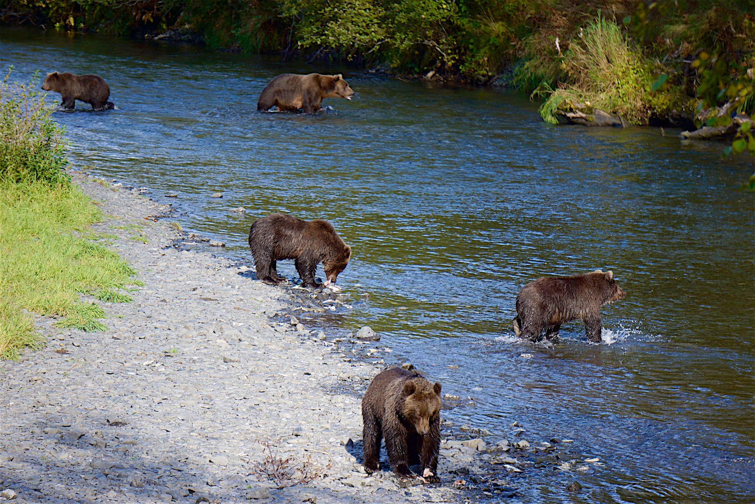 HurstCreek.jpg