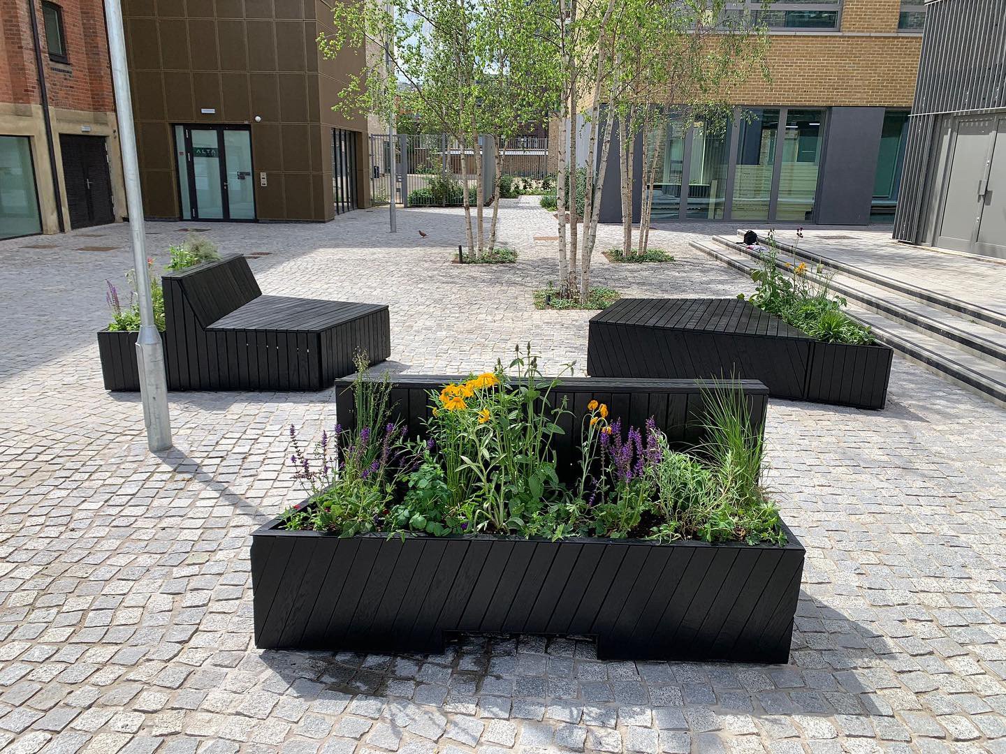 A0BED940-48C7-4B3C-BF8D-998C3A8116BE 3.JPG