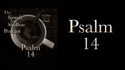 082 SNS: Psalm 14, Some Subtle Connections