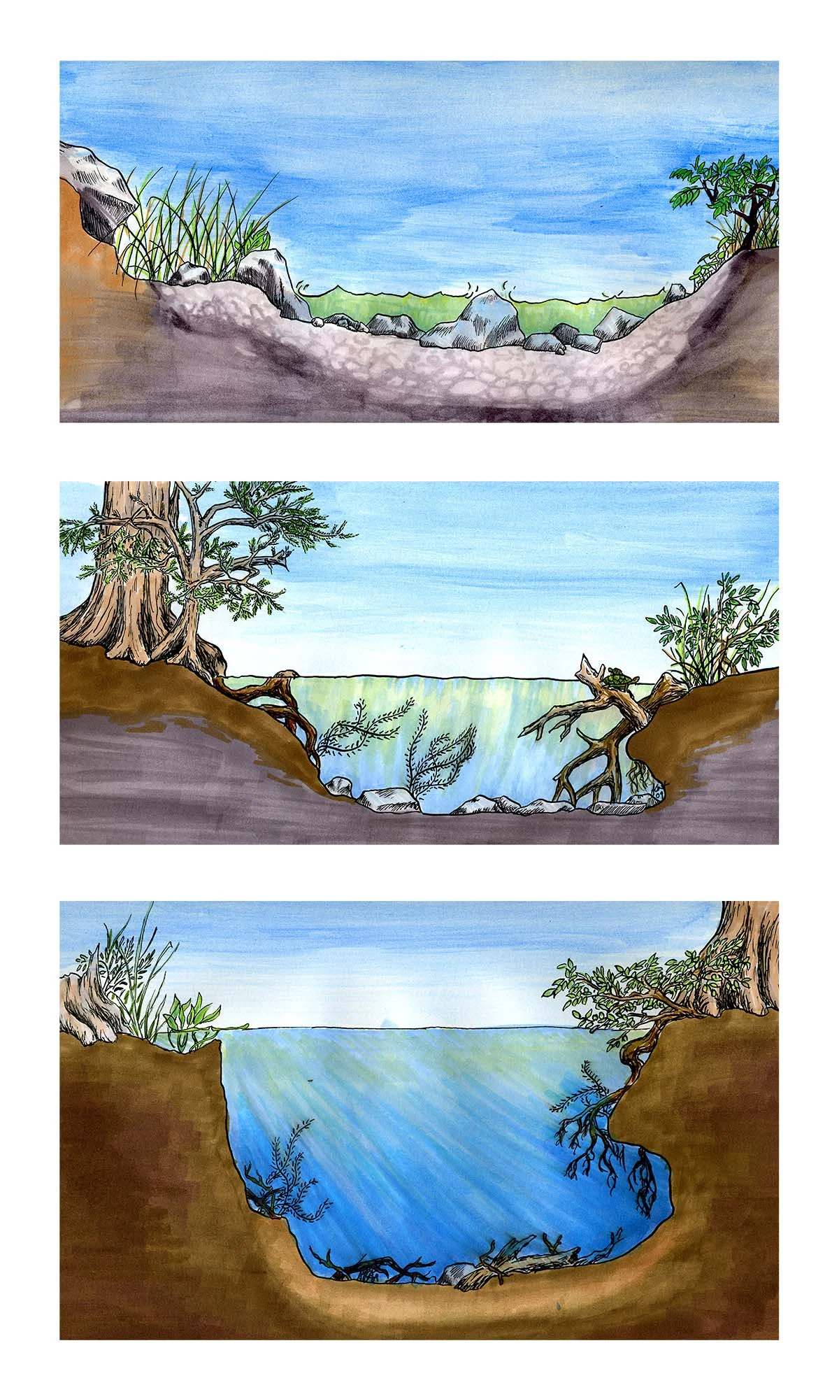 Stream Flows