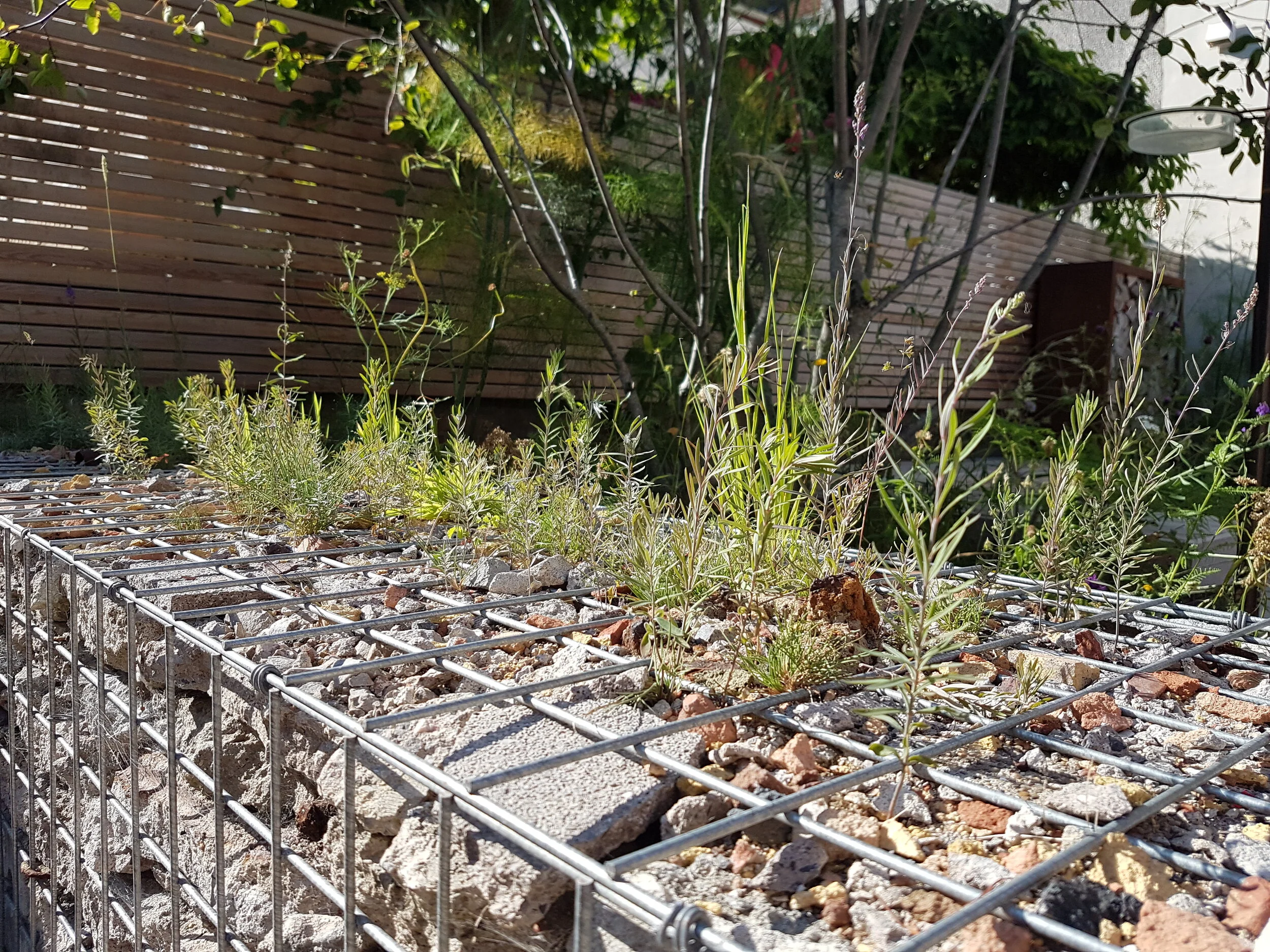 Gabion wall.jpg
