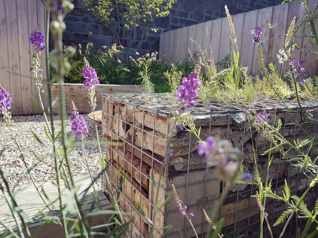 UPDATE!

Finally managed to get back to one of our favourites from last year and I was blown away by how well it's doing only in its first year!

This project focused on taking inspiration from brownfield sites and the existing 'weeds' that colonised