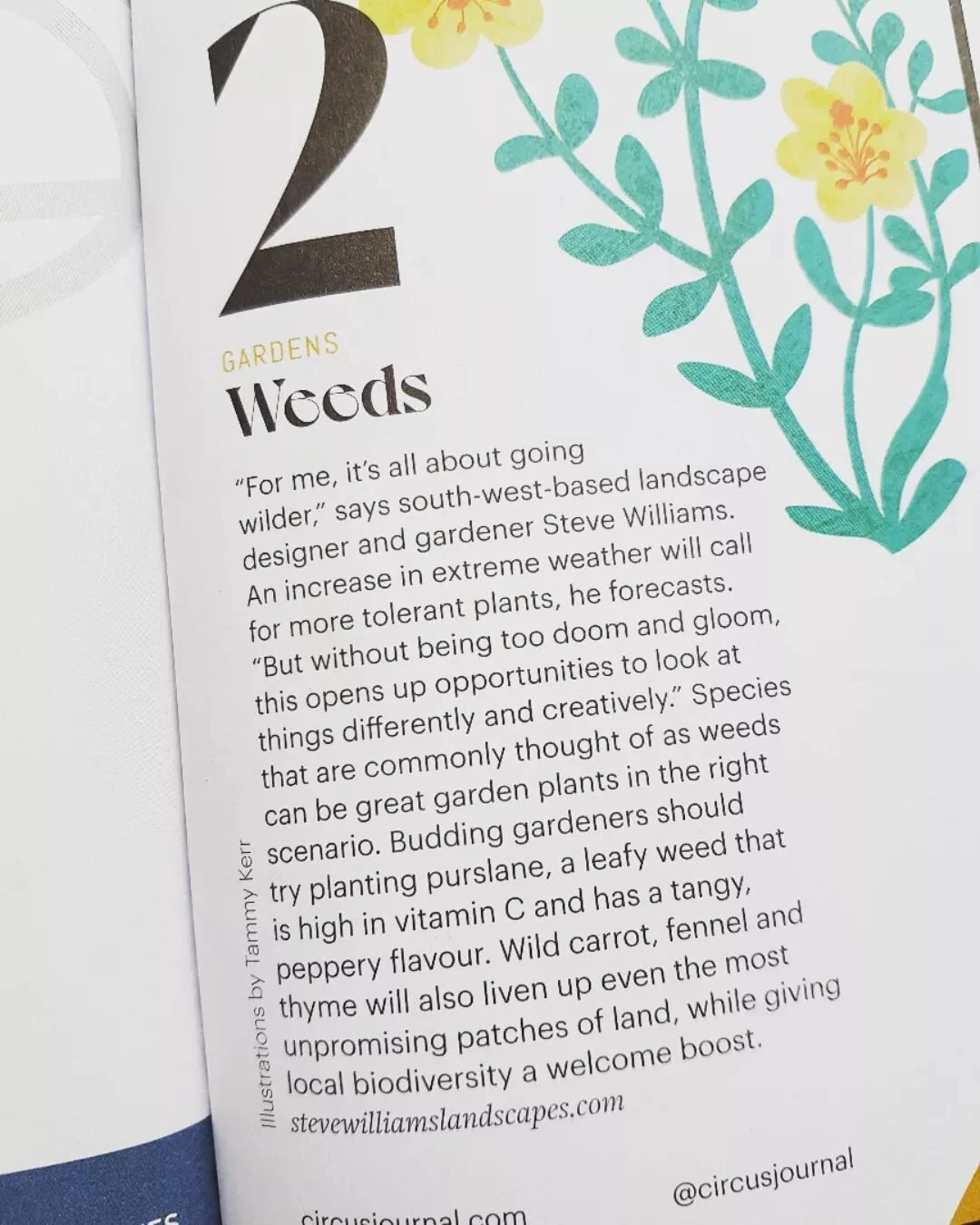 Lovely little feature in the @circusjournal this spring. Was really nice they were interested in an alternative perspective, any excuse for me to bang on about 'weeds' 😅🌱.

 Pretty cool little independent magazine if you spot it. Thanks guys 🙌
.
.
