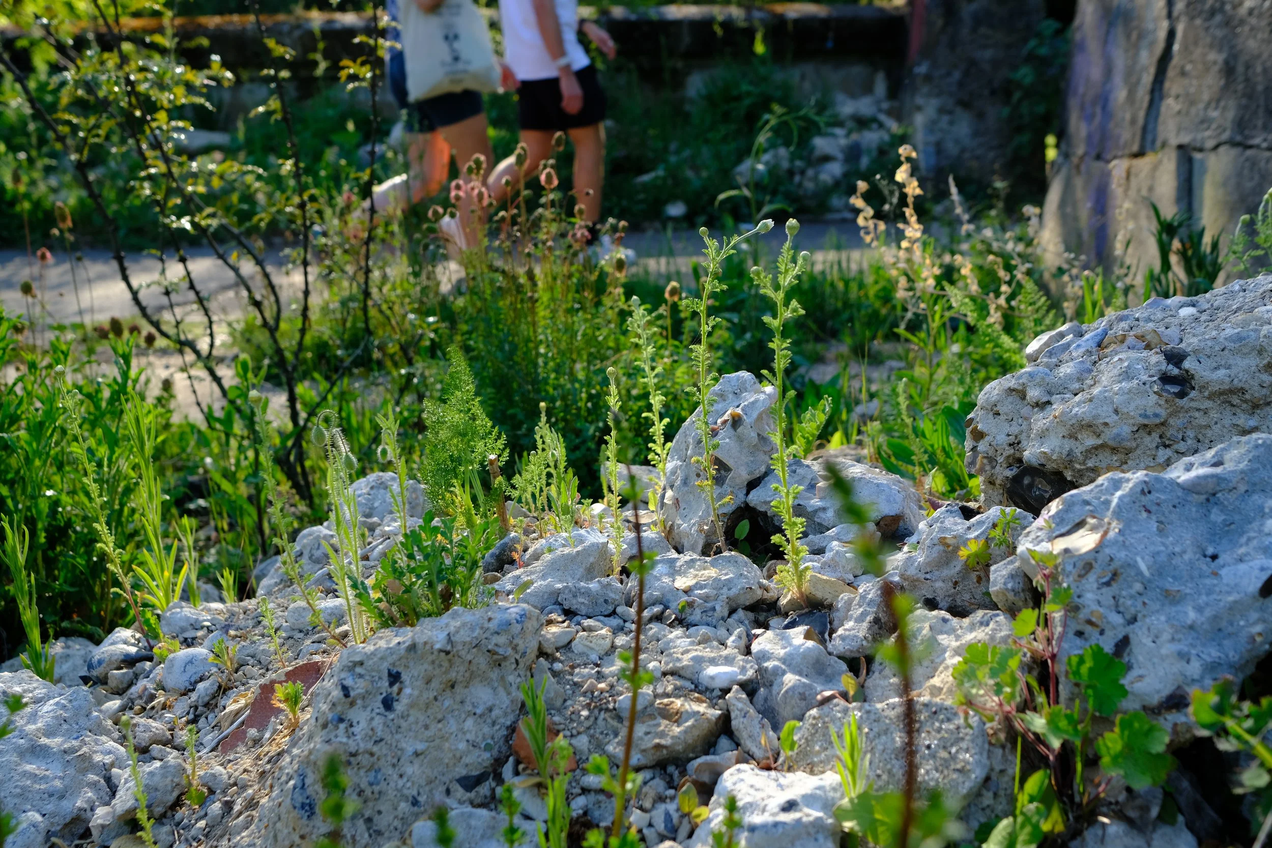 Makrfield Park Crush Corridor