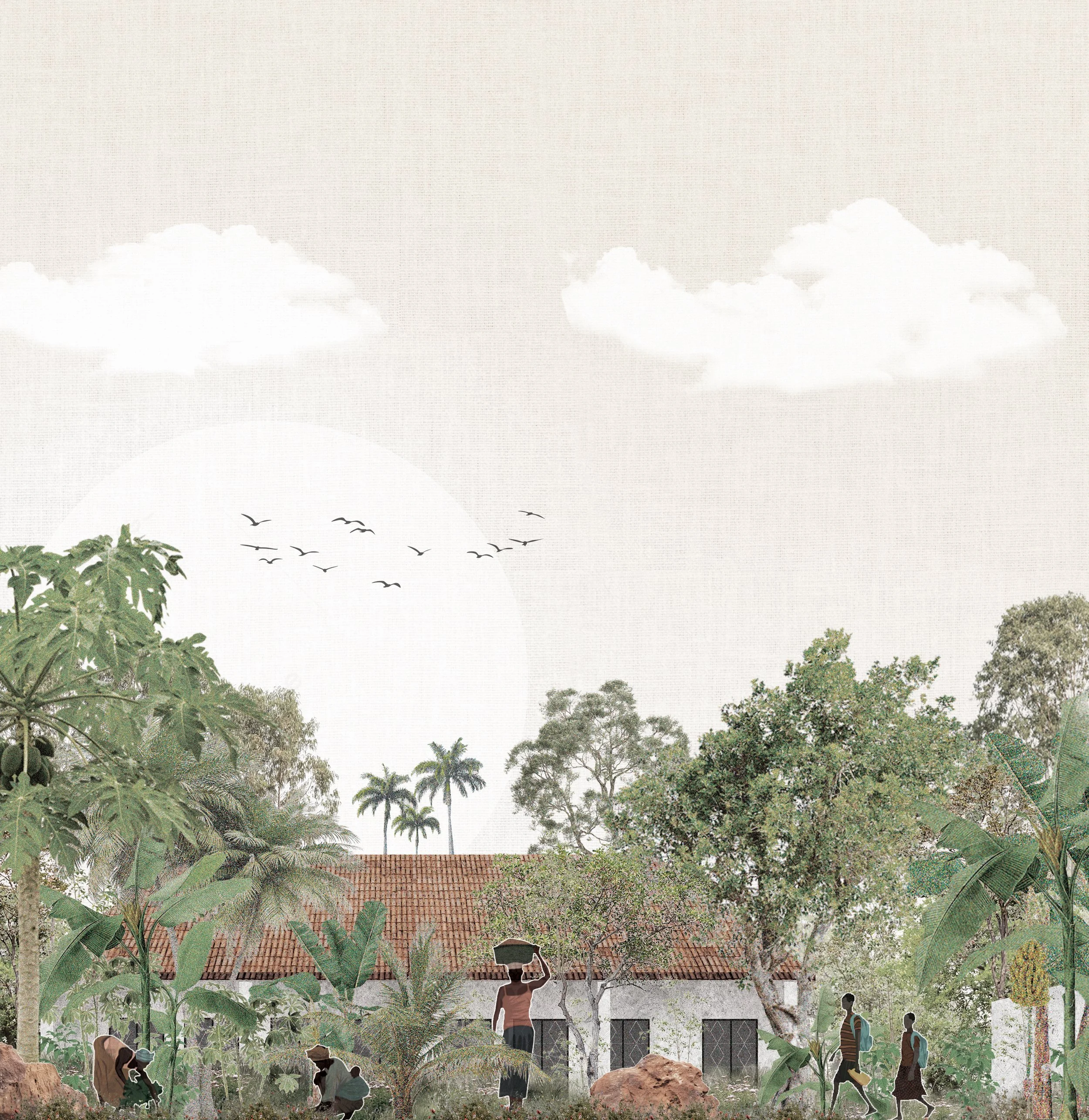 GAMBIA ILLUSTRATION DONE.jpg