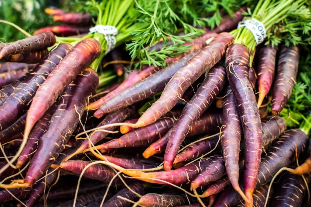 foodiesfeed.com_red-carrots-at-farmers-market_low-1024x683 copy.jpg