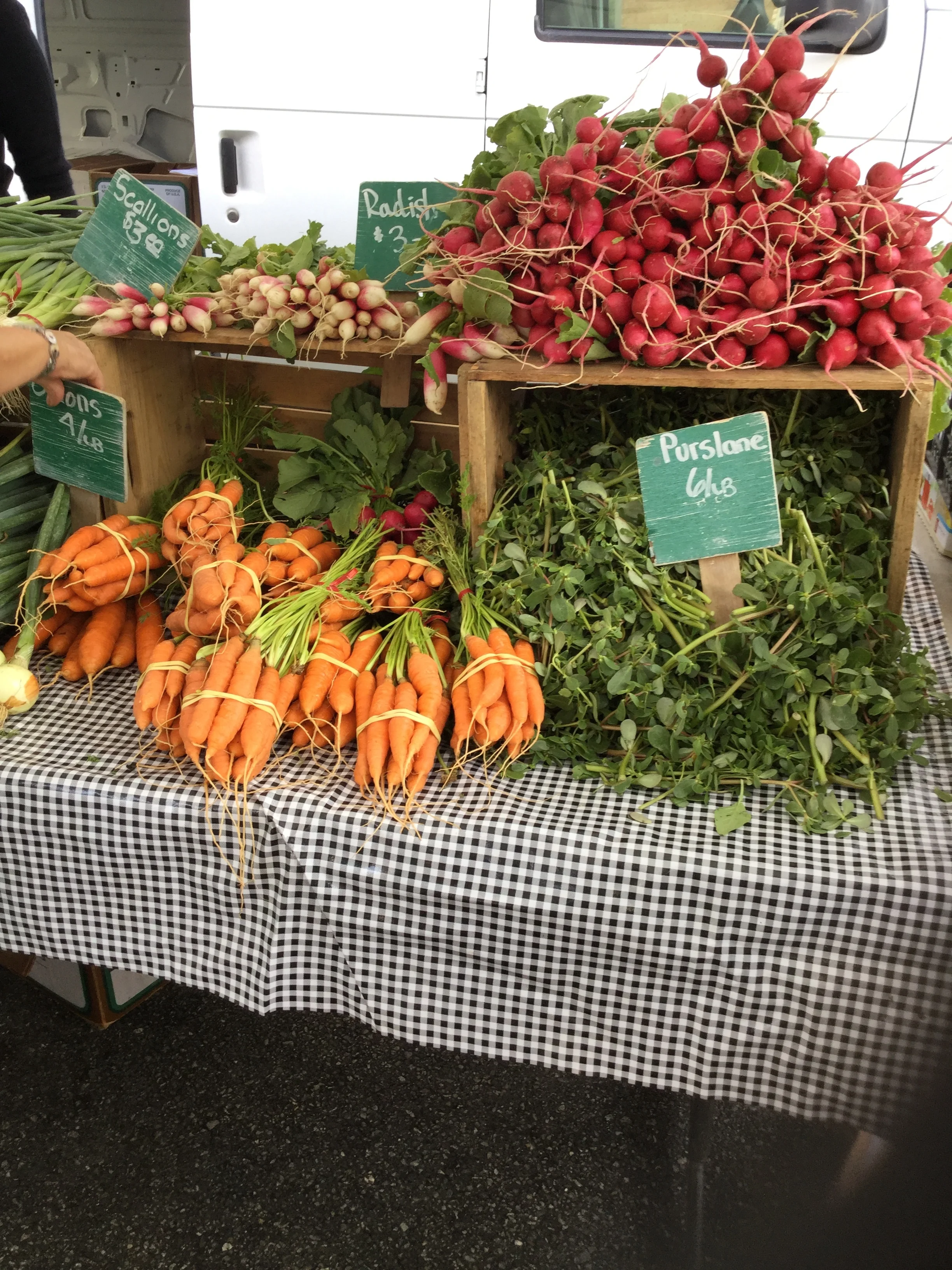 Photo Sep 06, 9 14 13 AM (1).jpg