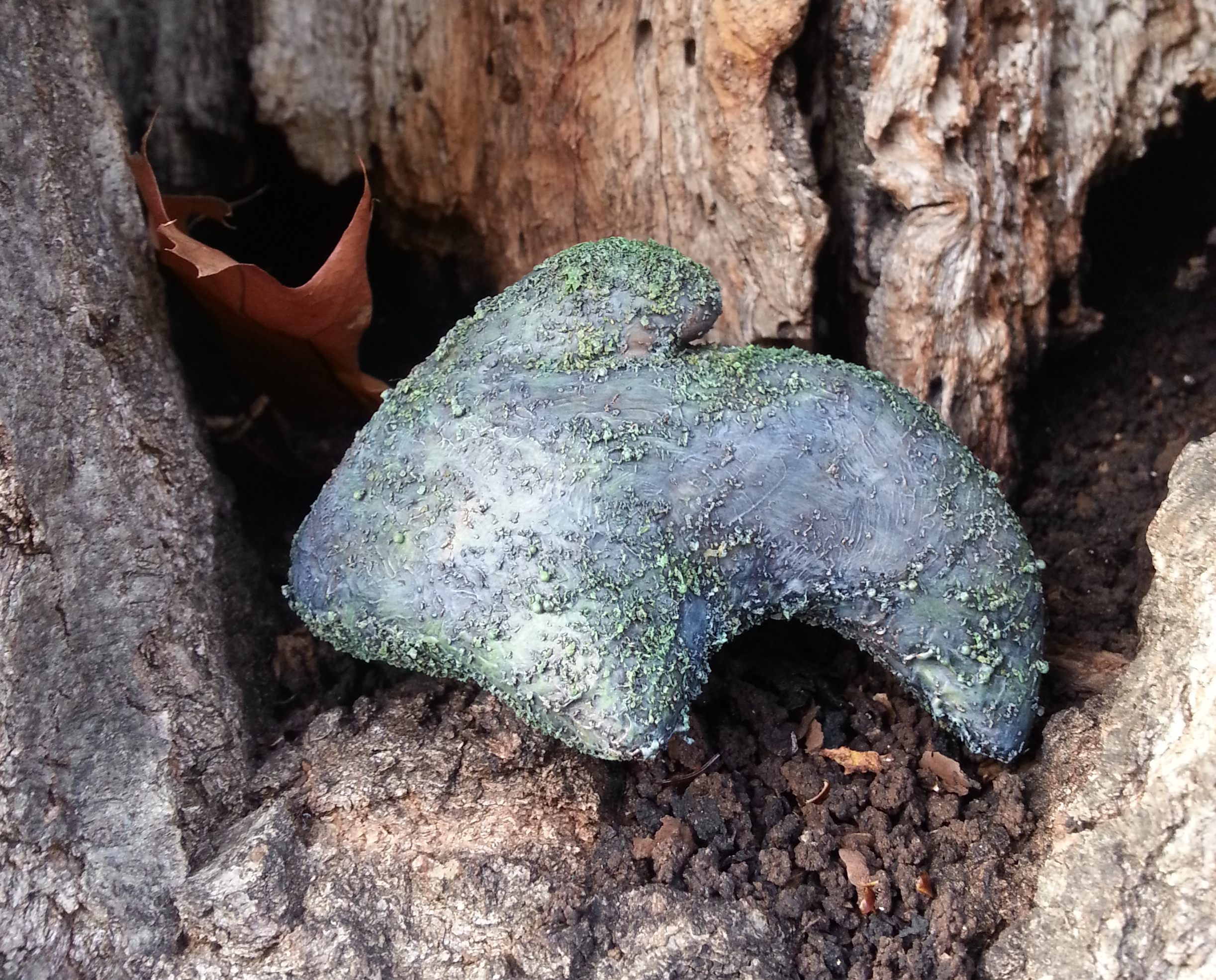 20141024_164532-1.jpg