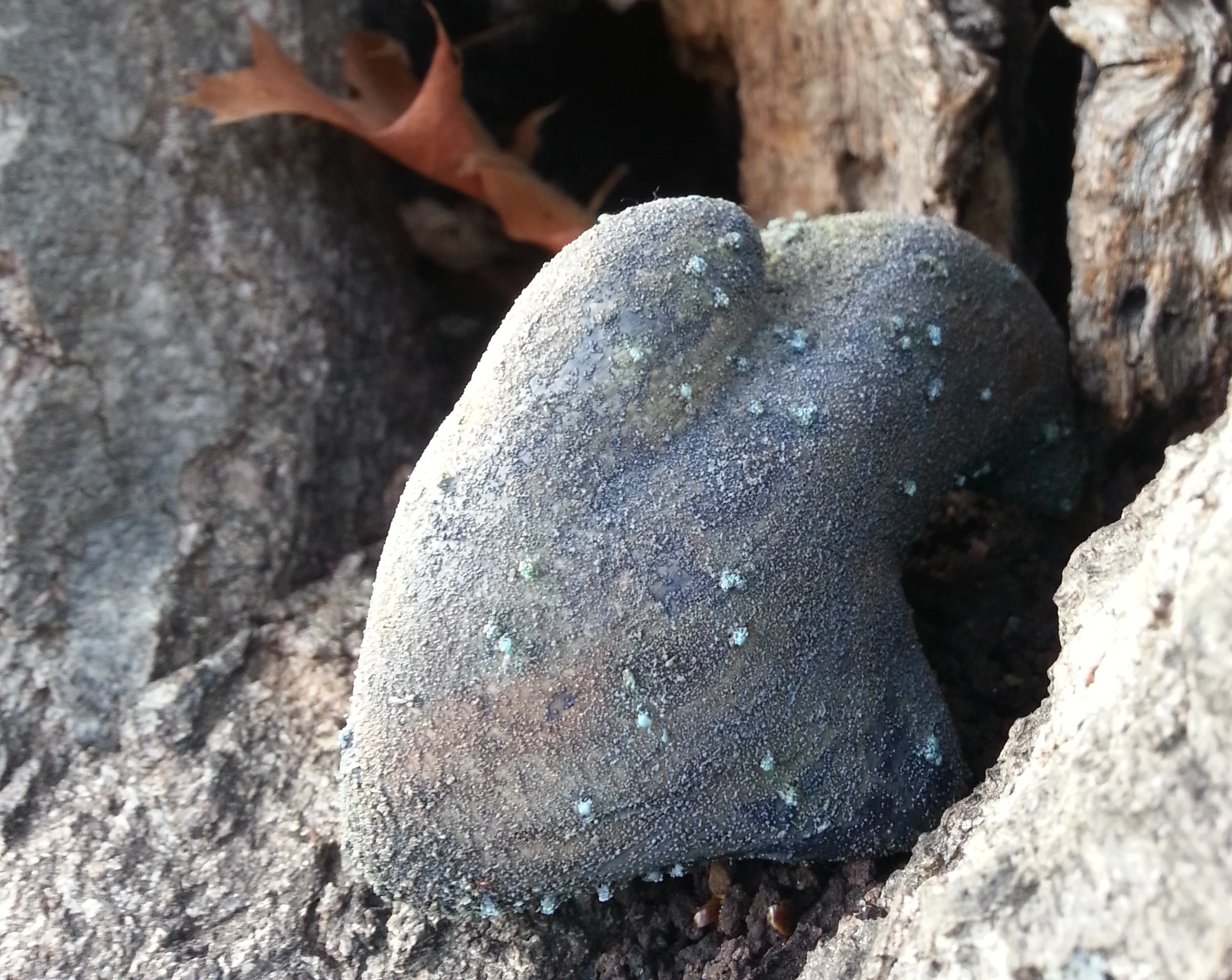 20141024_164644-1.jpg