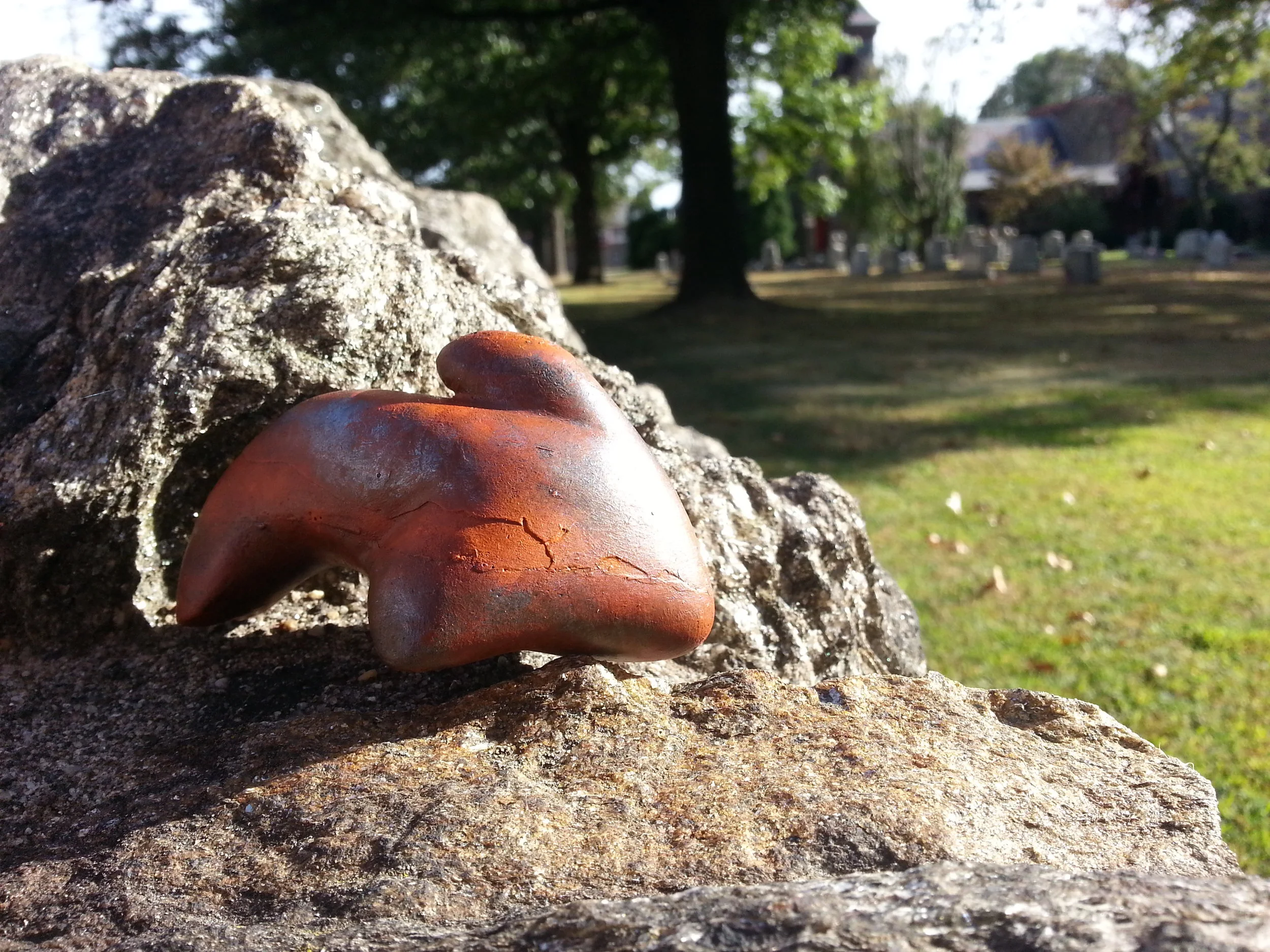 20140923_163056.jpg