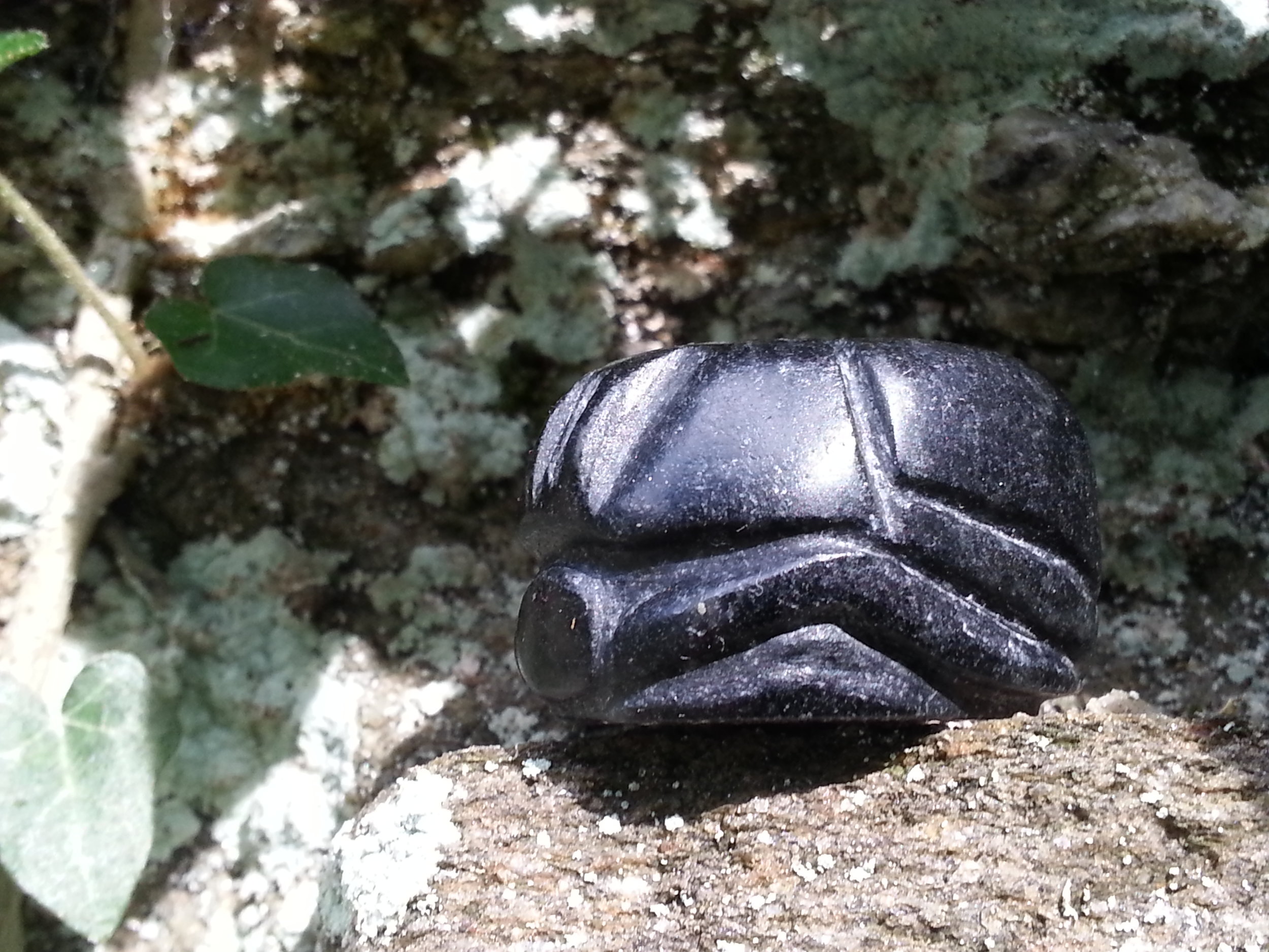 20140829_165101.jpg