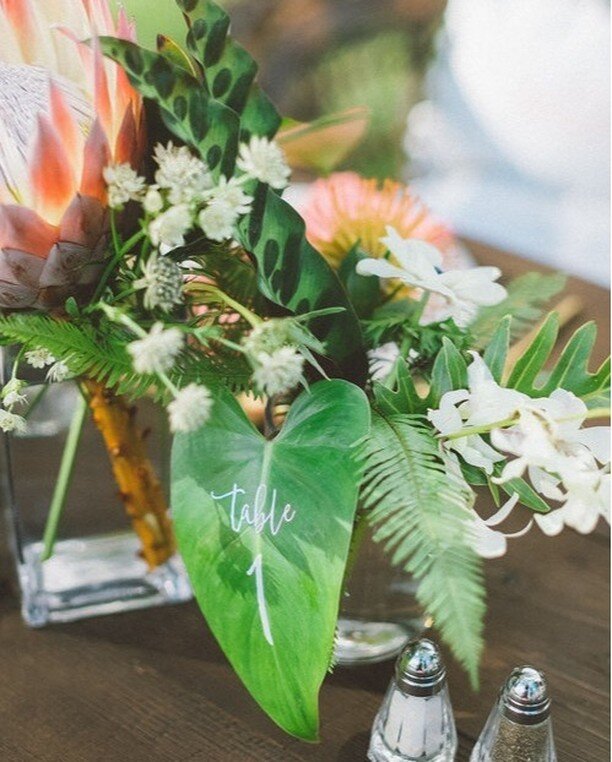 Help guests find their reception seats with something unique. By putting some thought into your table numbers, you can turn a small detail into a standout element. ⠀⠀⠀⠀⠀⠀⠀⠀⠀
⠀⠀⠀⠀⠀⠀⠀⠀⠀
Photographer: @angiediazphotography⠀⠀⠀⠀⠀⠀⠀⠀⠀
Venue: @olowaluplanta