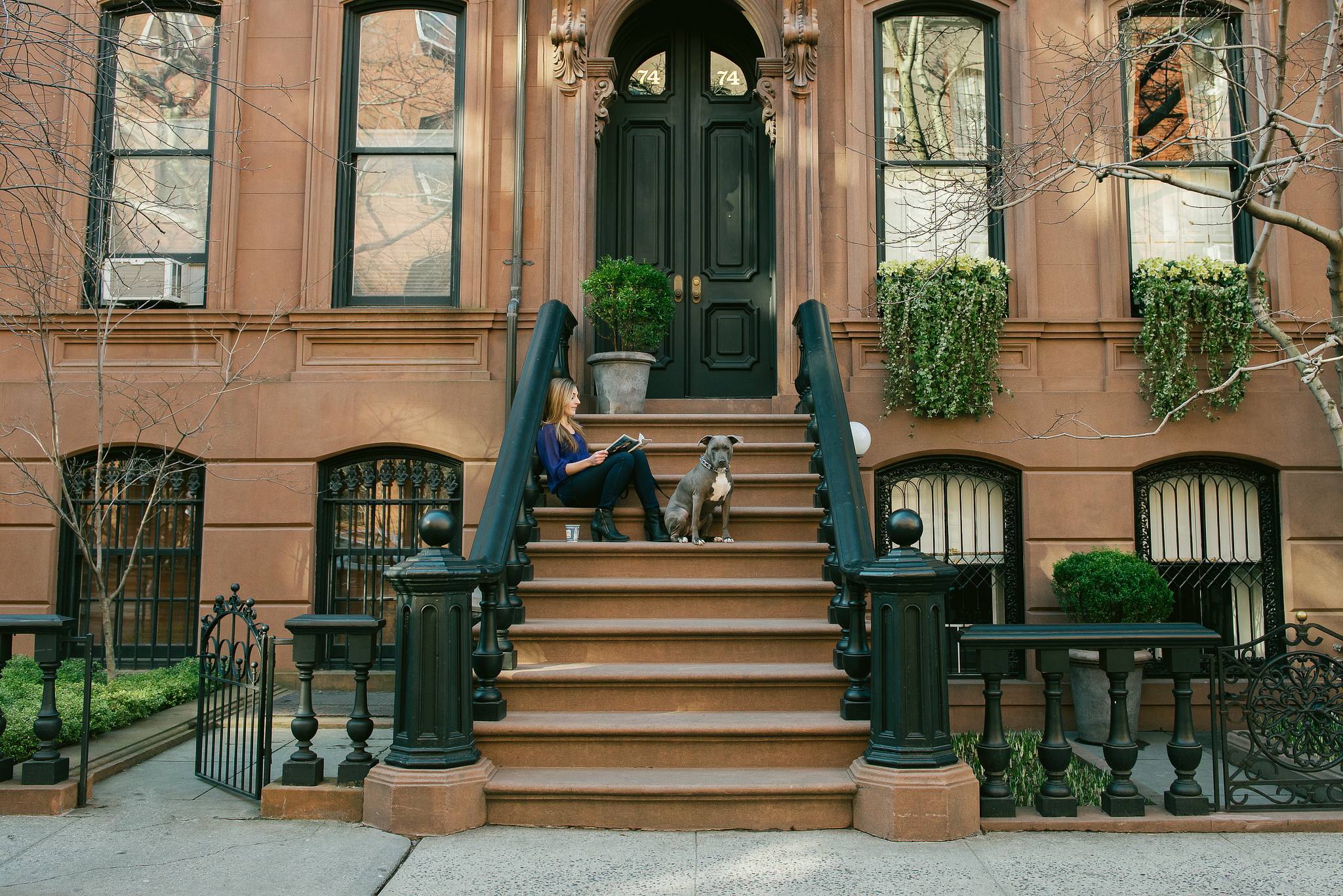 Prospect Heights.jpg