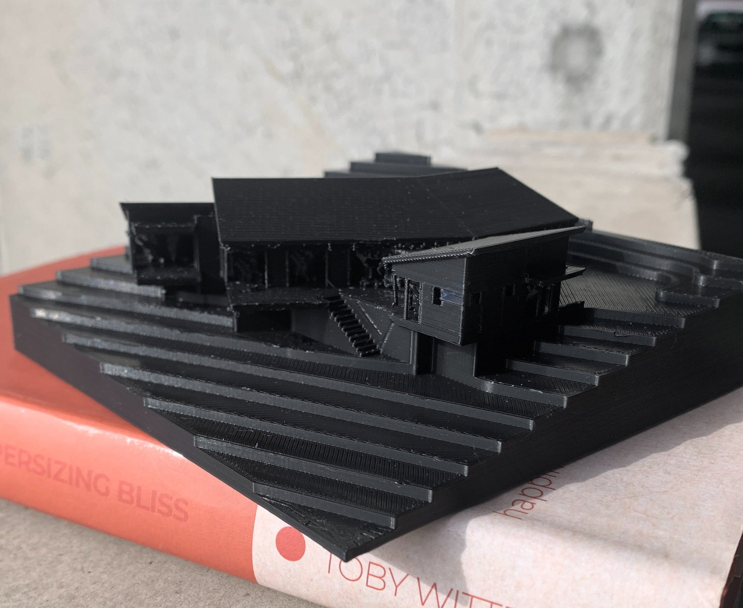 model 3d printing house modern cutting edge raleigh durham nc