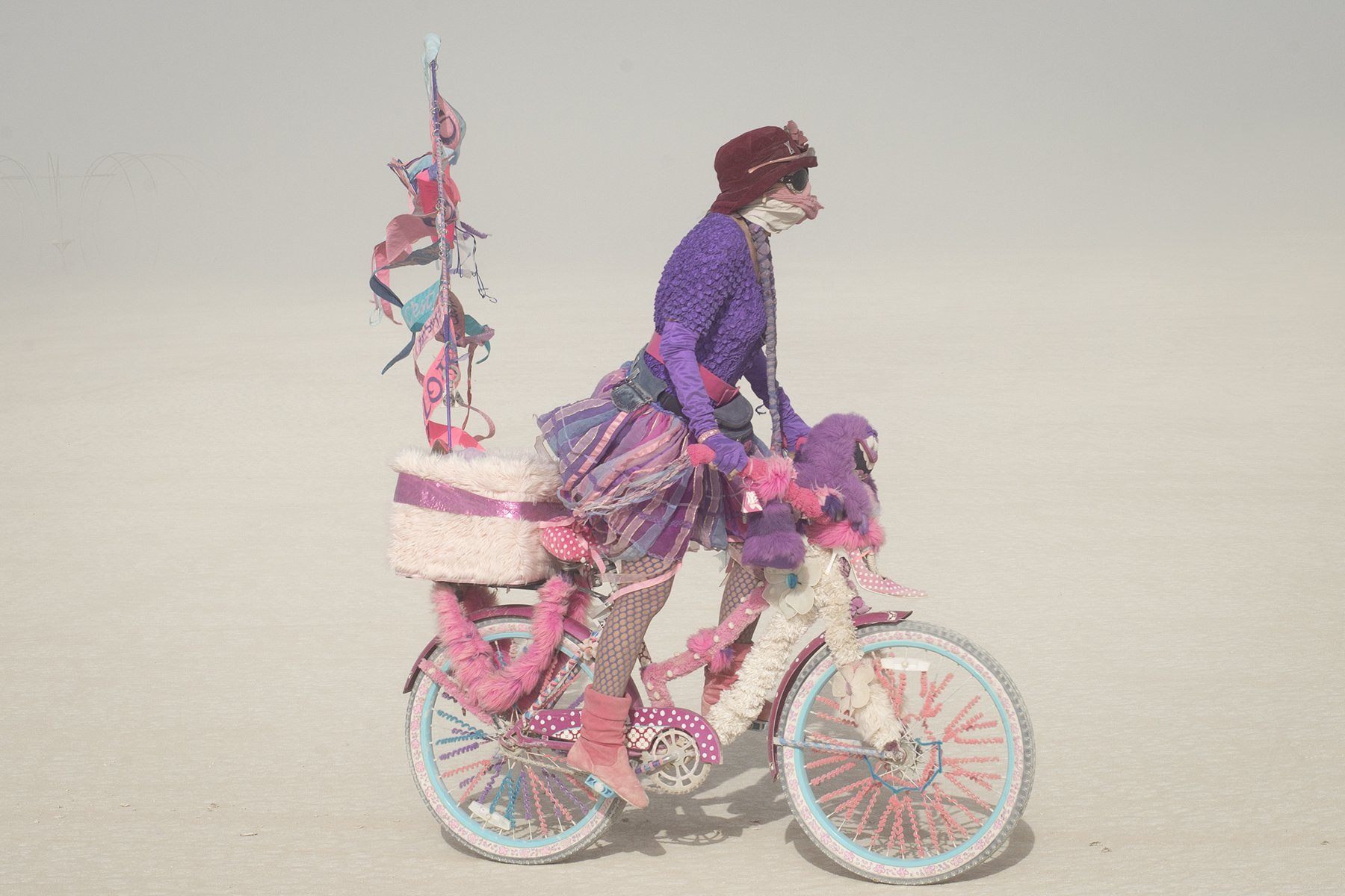 Lovethatpinkladybike copie.jpg