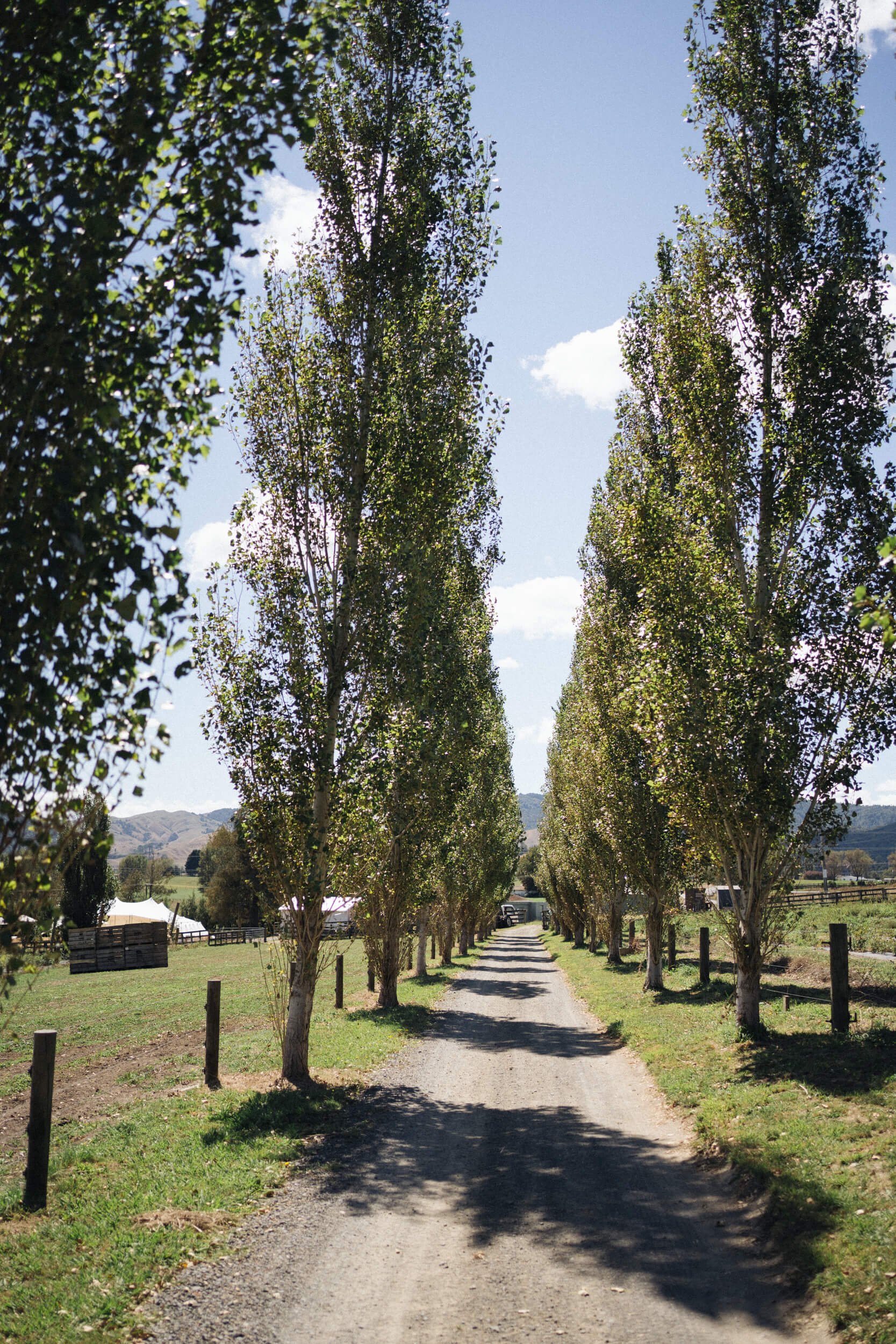 Waikato Wedding photography