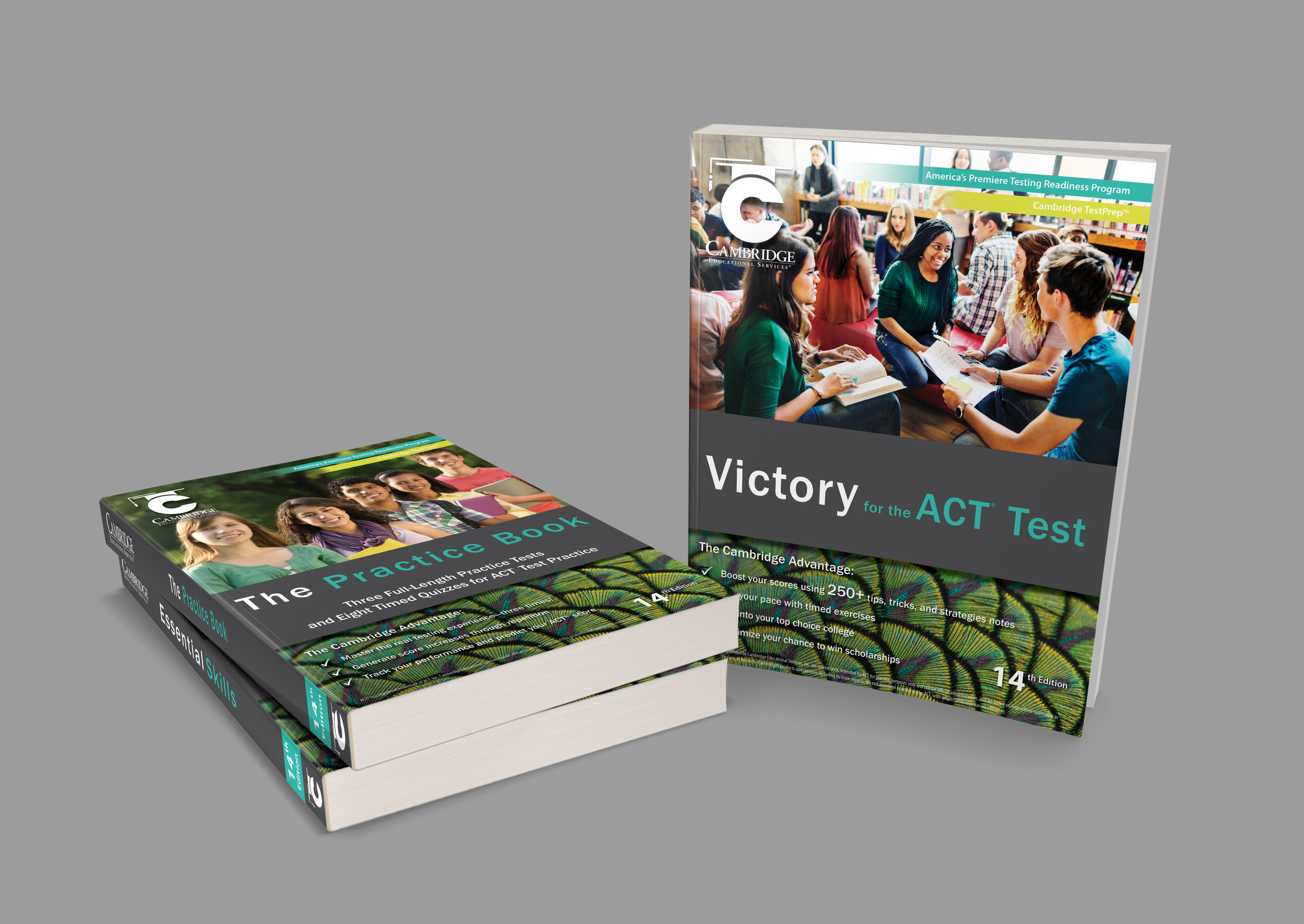 014-6x9-Book-Series-Mockup-COVERVAULT_ACT Victory books.jpg