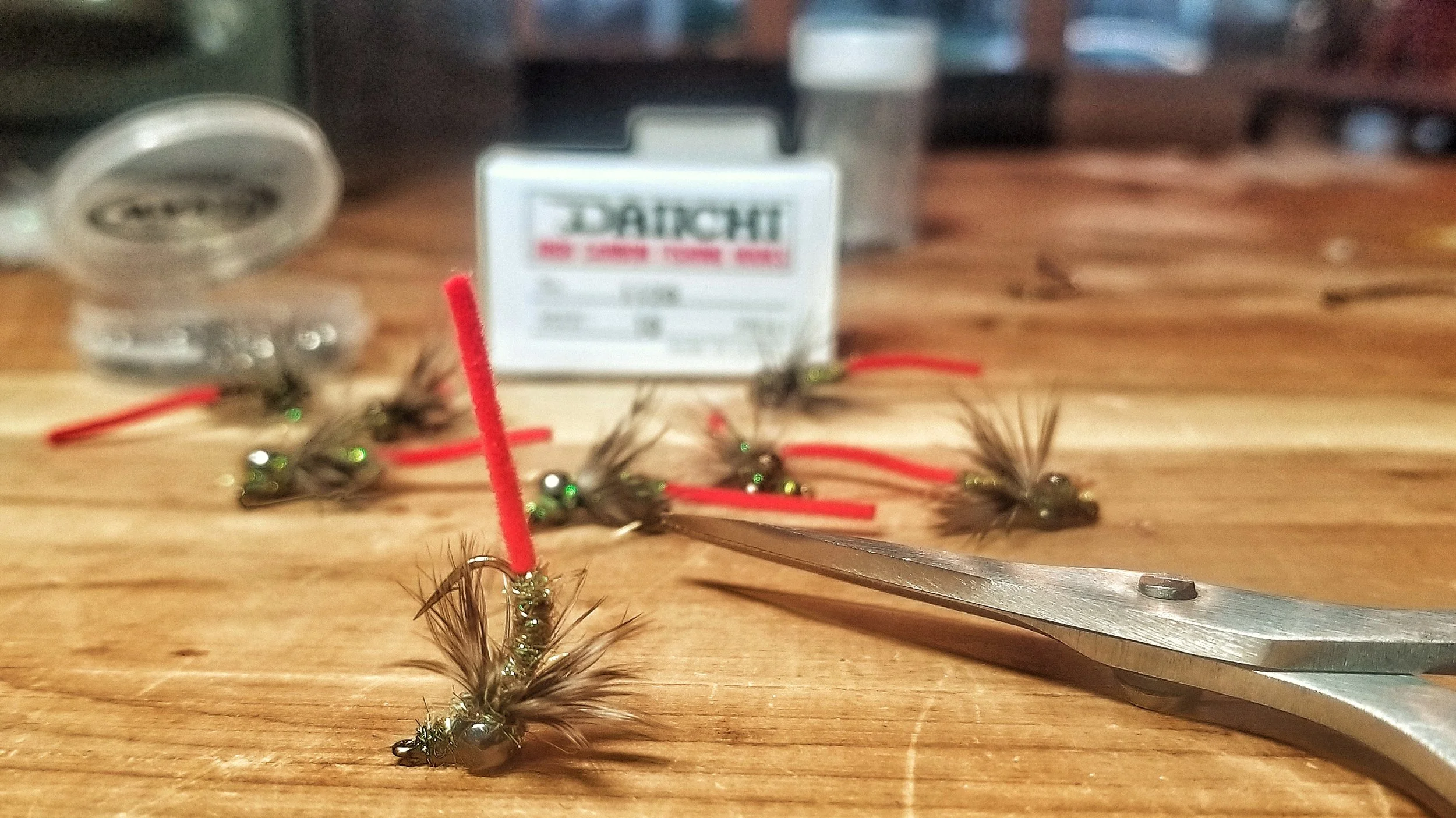 CarpFly.jpeg