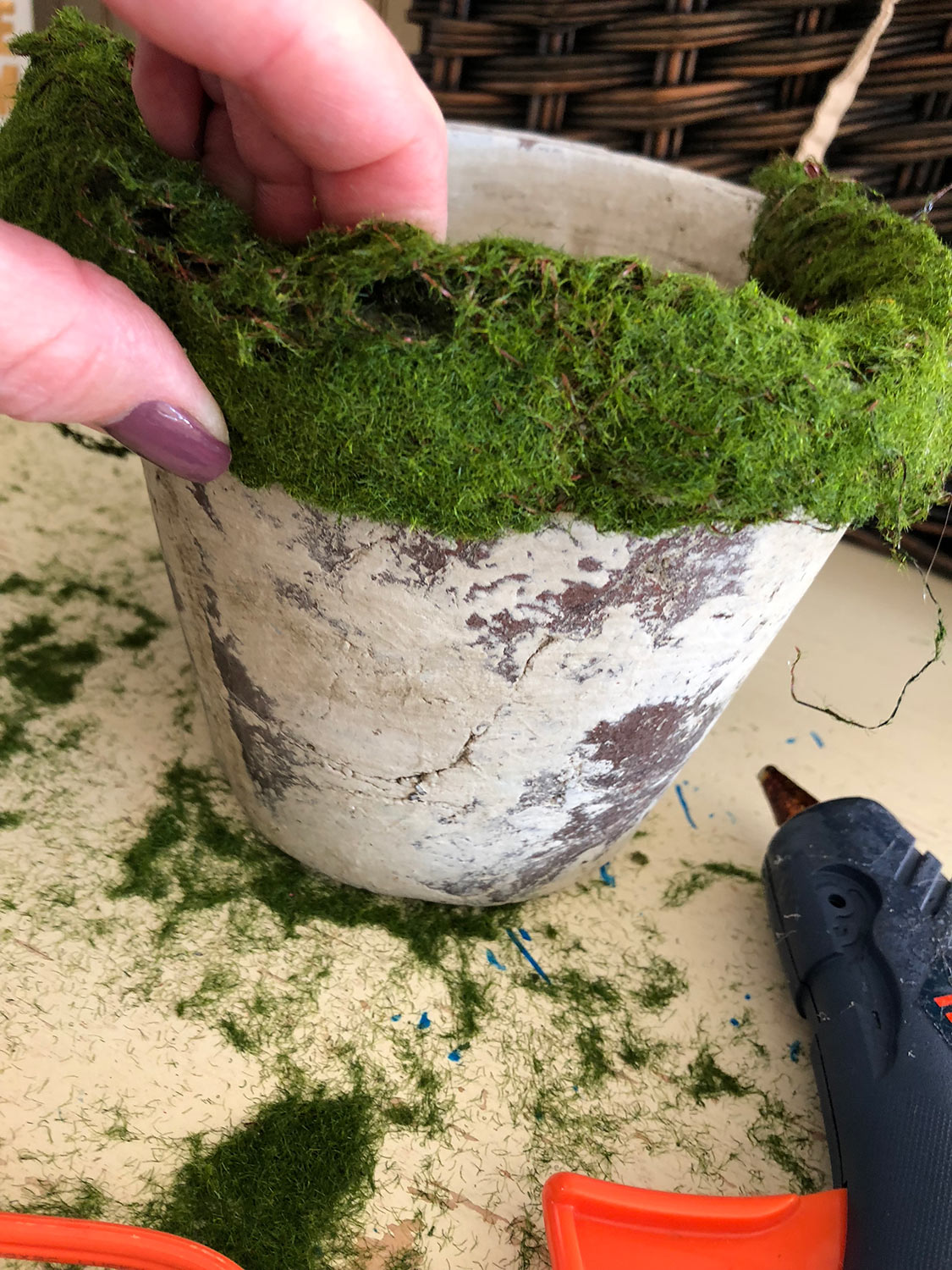 glue-moss-to-pot.jpg