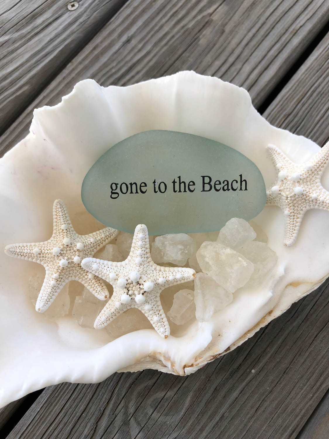 Gone to the Beach; starfish and sea glass in shell