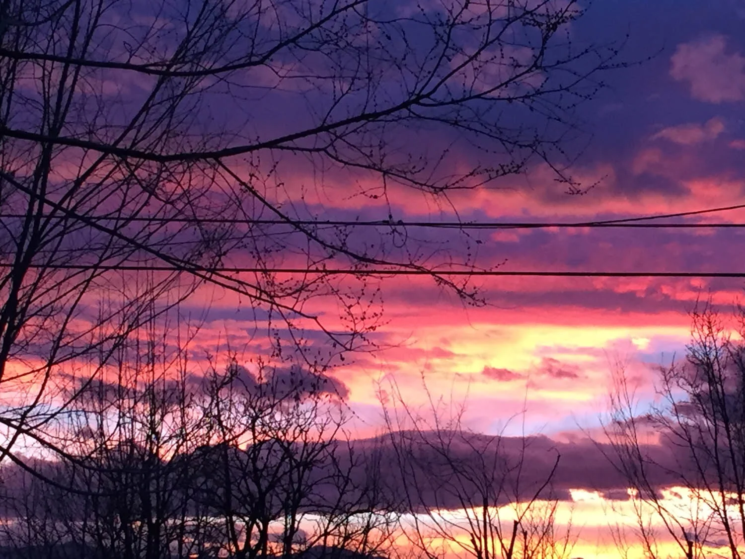 Sunset view from the backyard of Curtice Cottage in the late fall