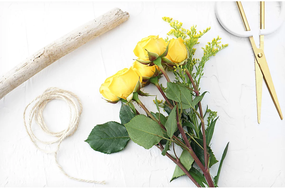 Stick, string, floral scissors, and bundle of fresh yellow roses.