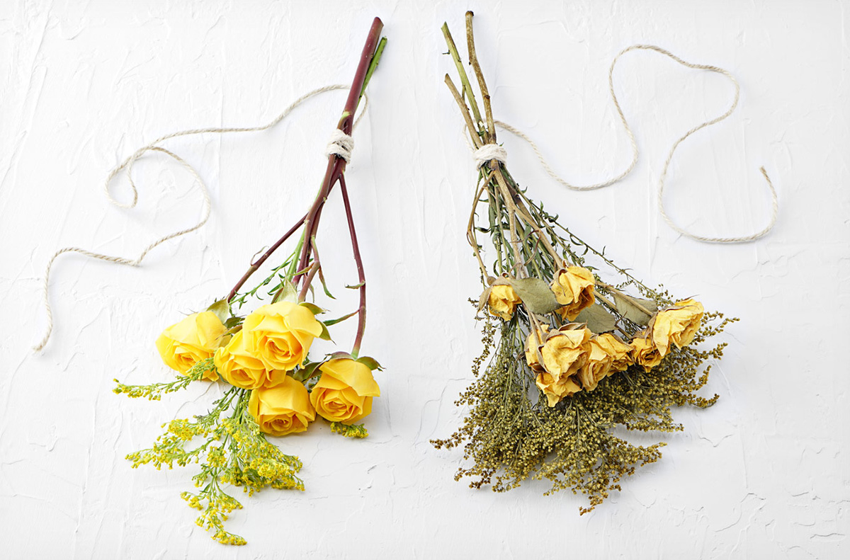 Before air drying and after air drying bundles of flowers.