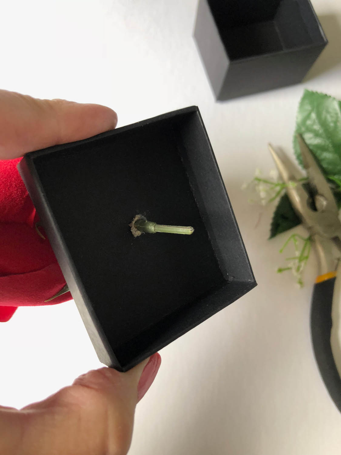 wire stem of artificial flowers pressed into small box lid